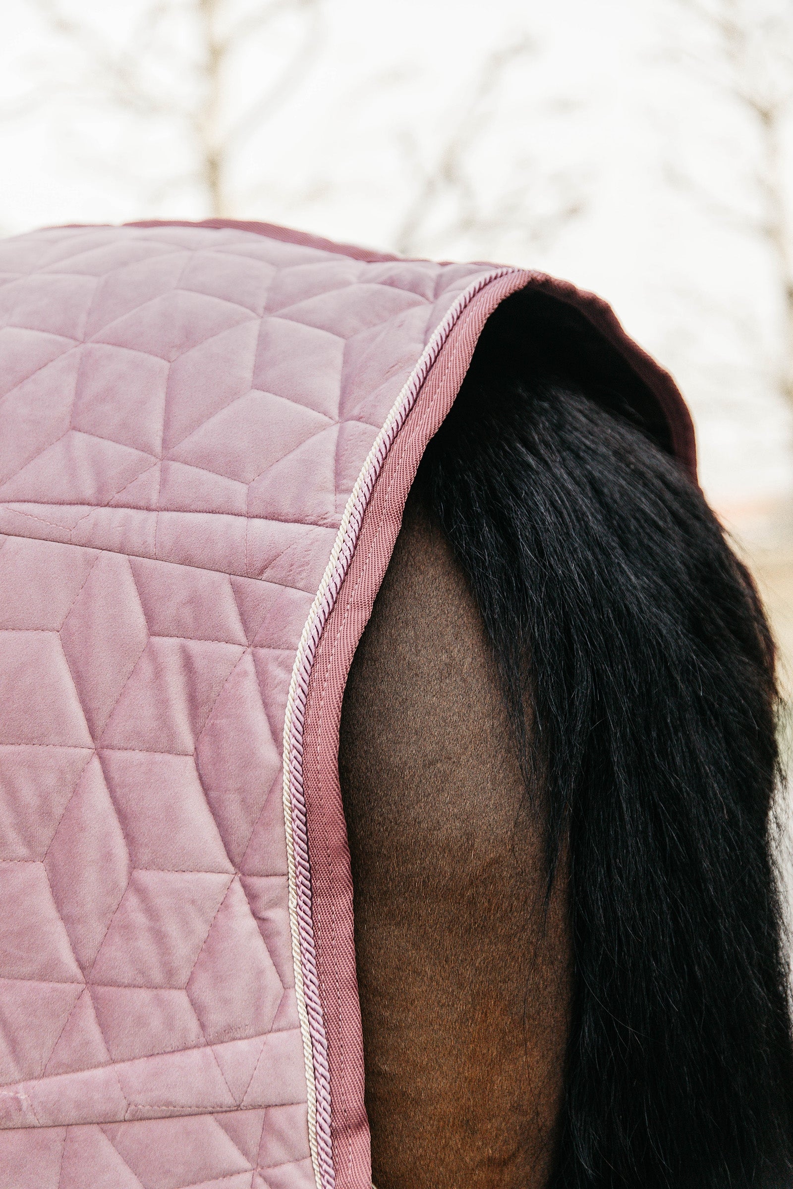 Kentucky Horsewear Velvet Pony Show Rug, 160g Horse Rugs