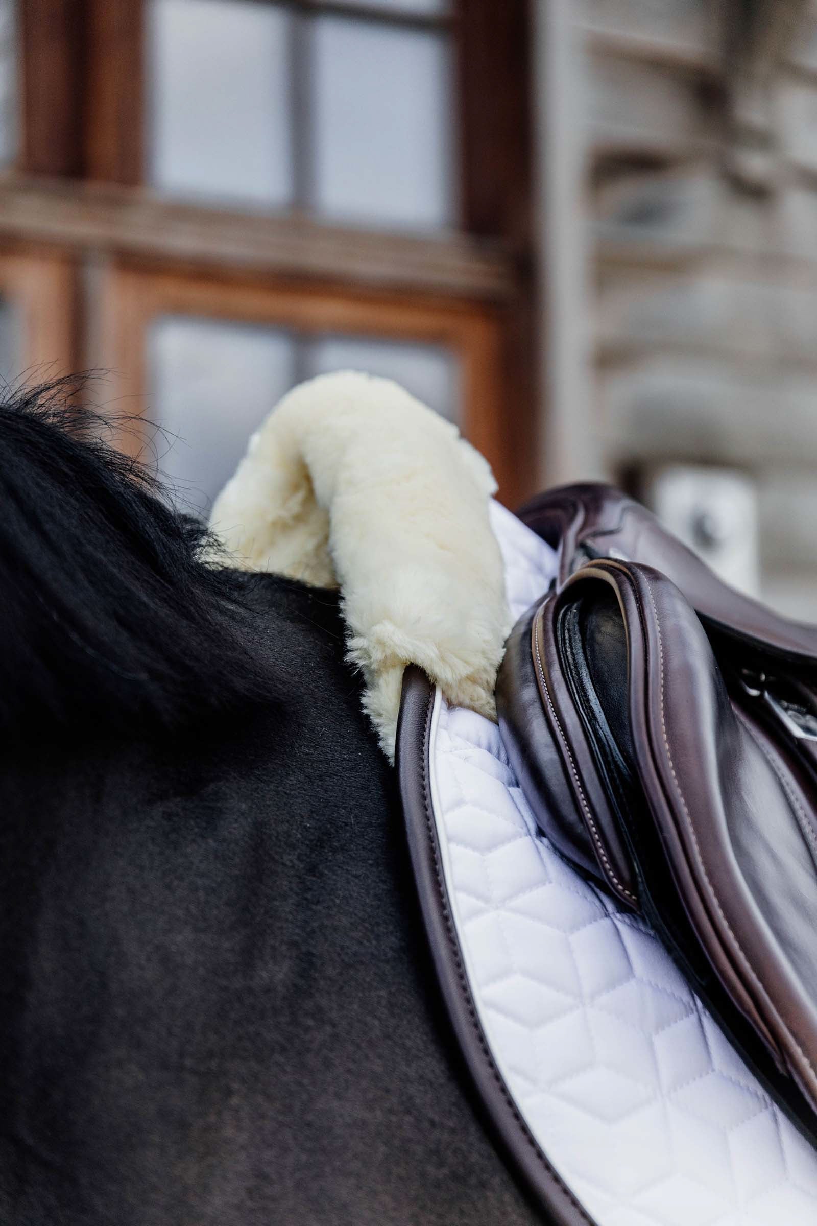 Kentucky Horsewear Skin Friendly Jumping Saddle Pad Saddle Pads