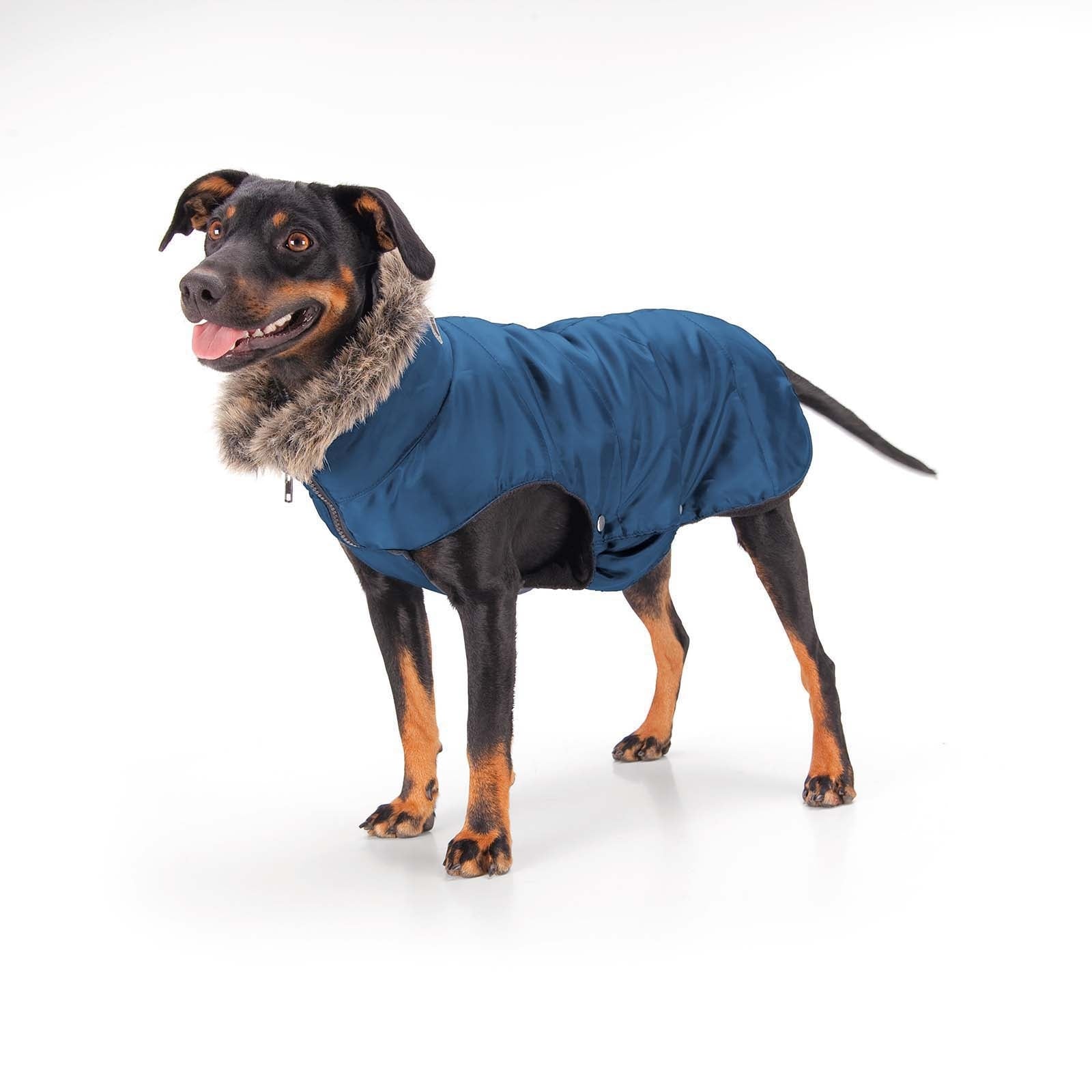 Eskadron Quilted Dog Rug Dog Accesories
