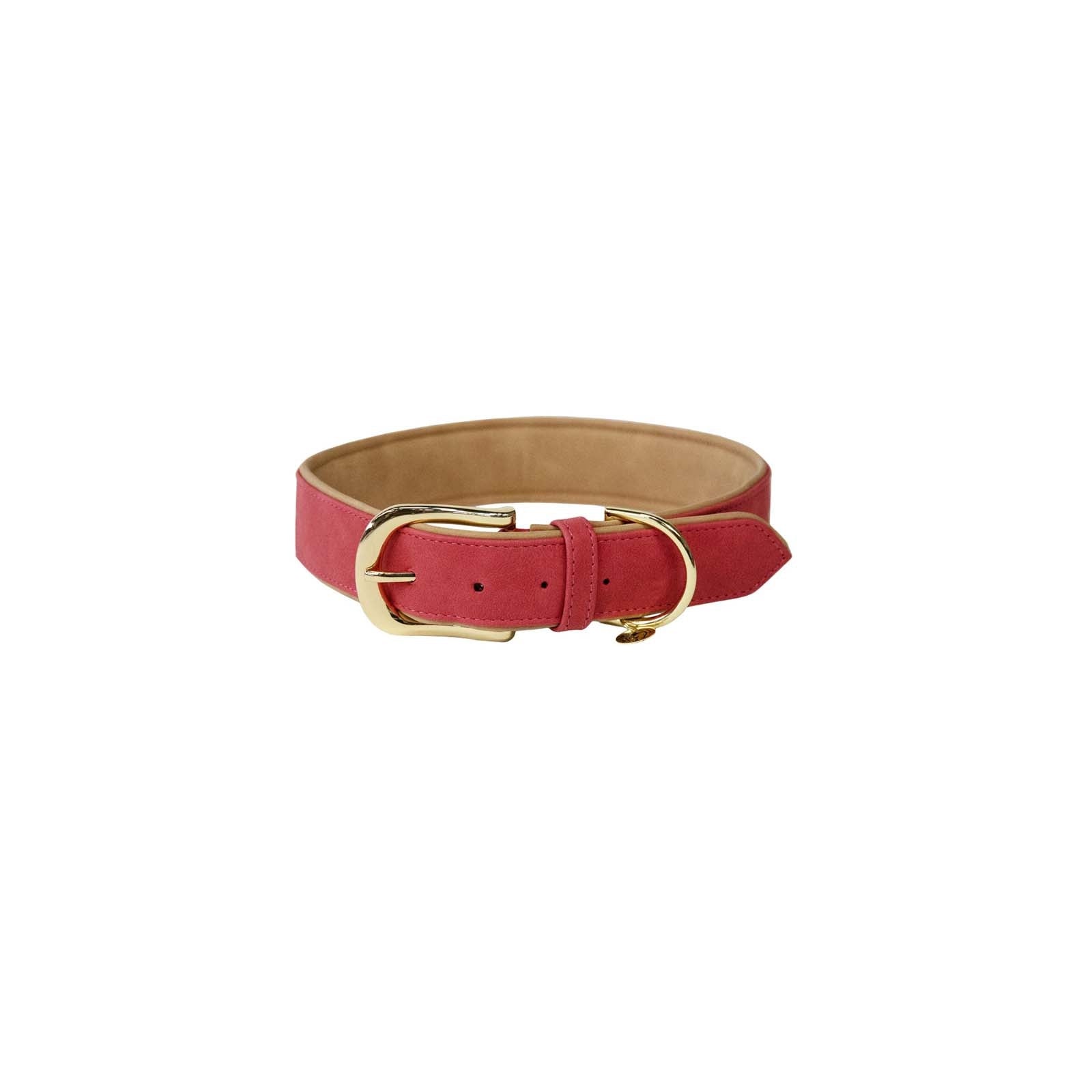 Kentucky Horsewear Kentucky Dogwear Soft Vegan Leather Collar Dog Accesories