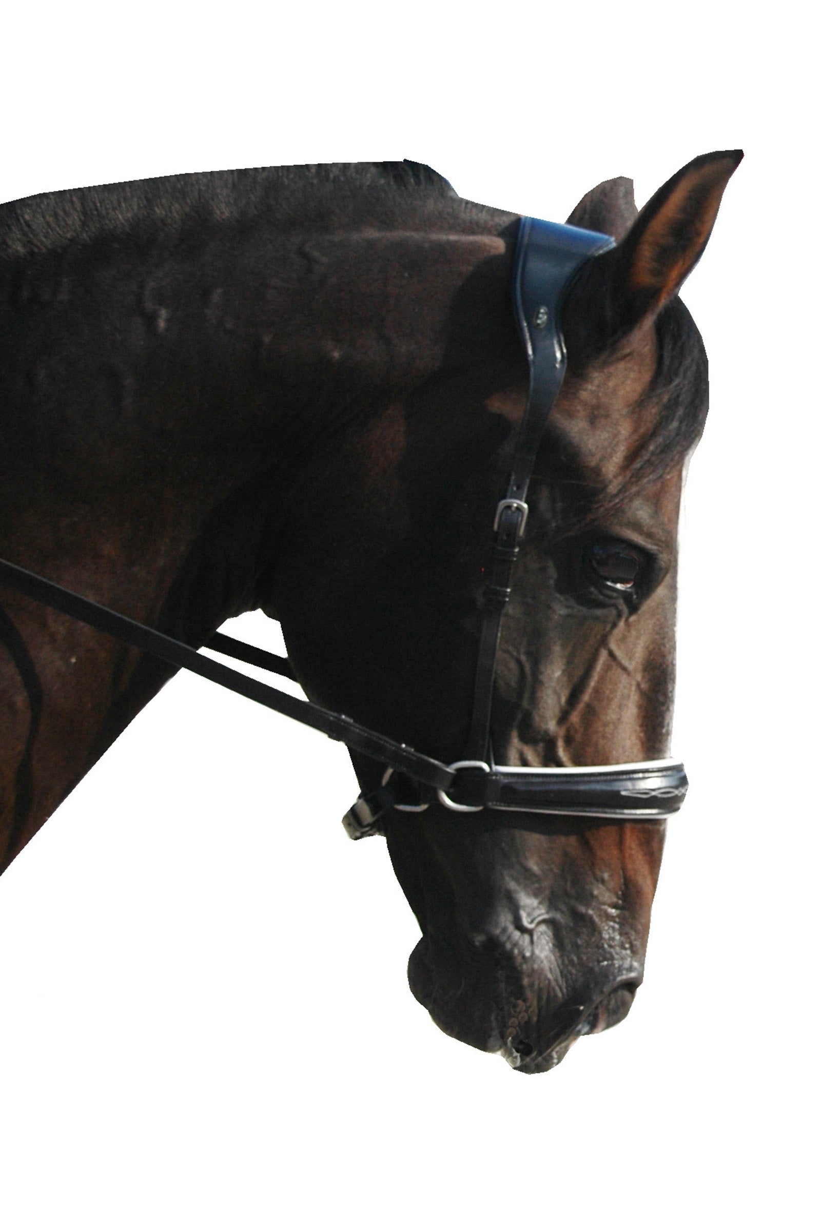 F.R.A. Freedom Riding Articles Alizée Mistral Bitless Bridle With Reins (System 3) Bridles & Reins
