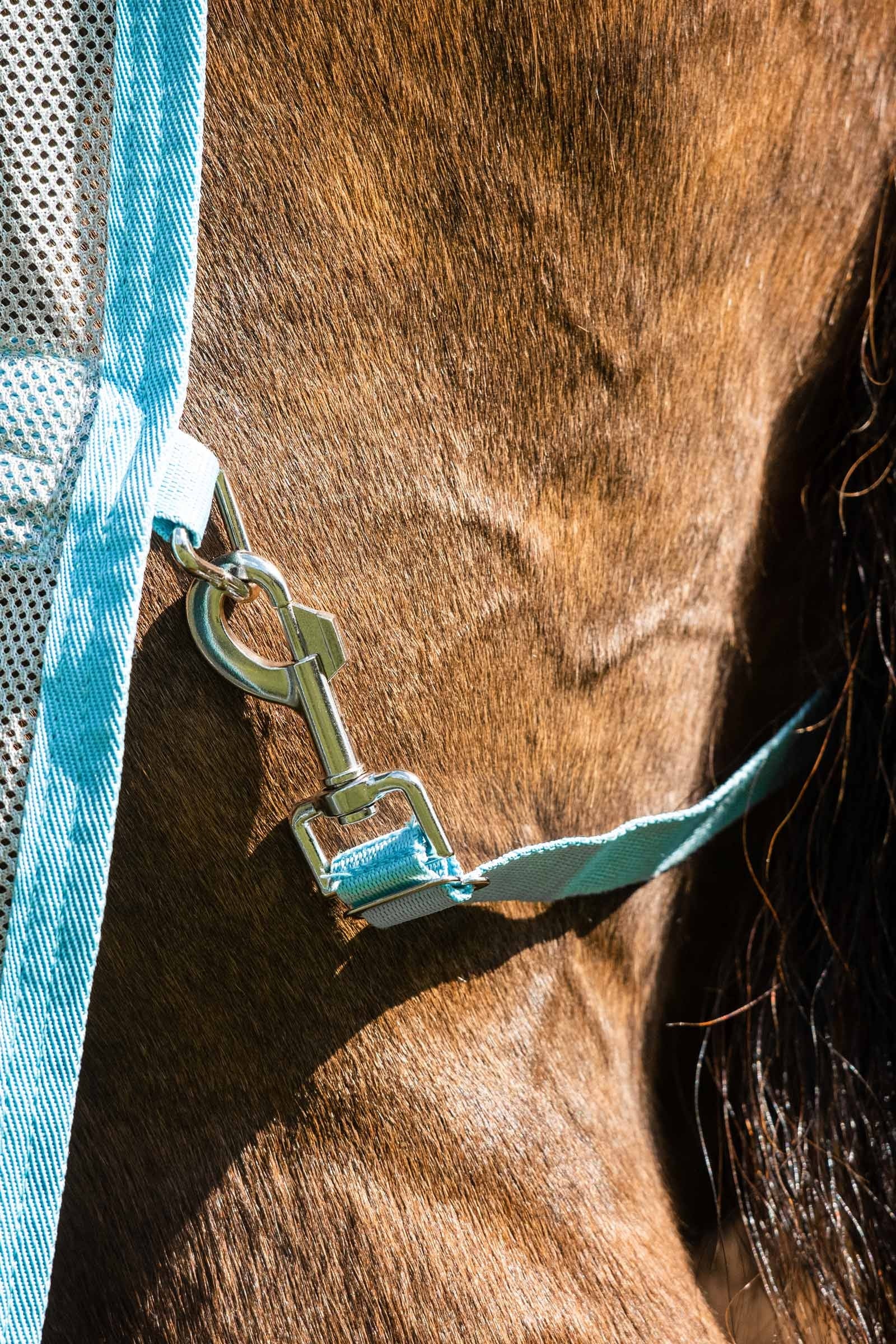 Horseware Amigo AmEco Bug Buster Fly Rug With Detachable Neck Horse Rugs