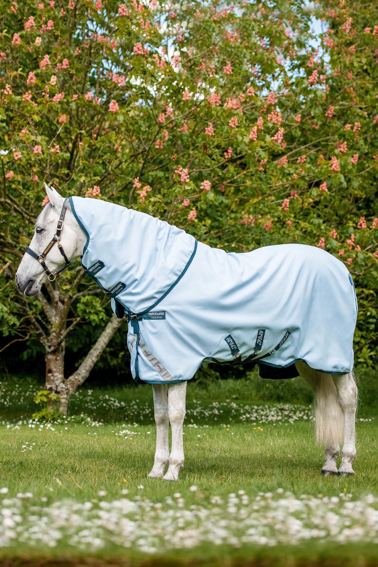 Horseware Amigo Plant Dye Turnout Rug, 50g Horse Rugs