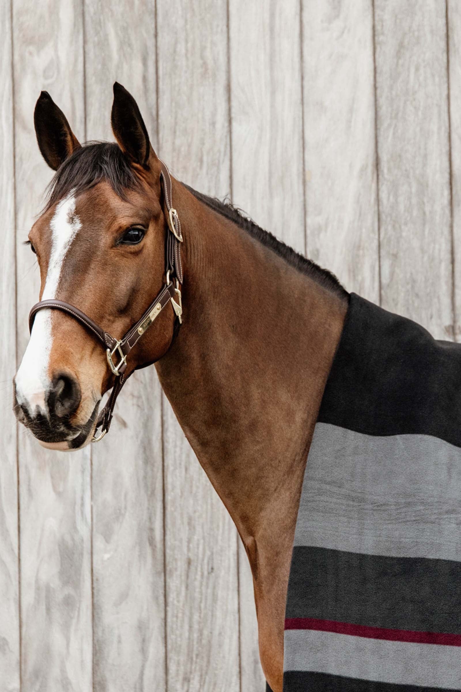 Kentucky Horsewear Heavy Fleece Rug Horse Rugs