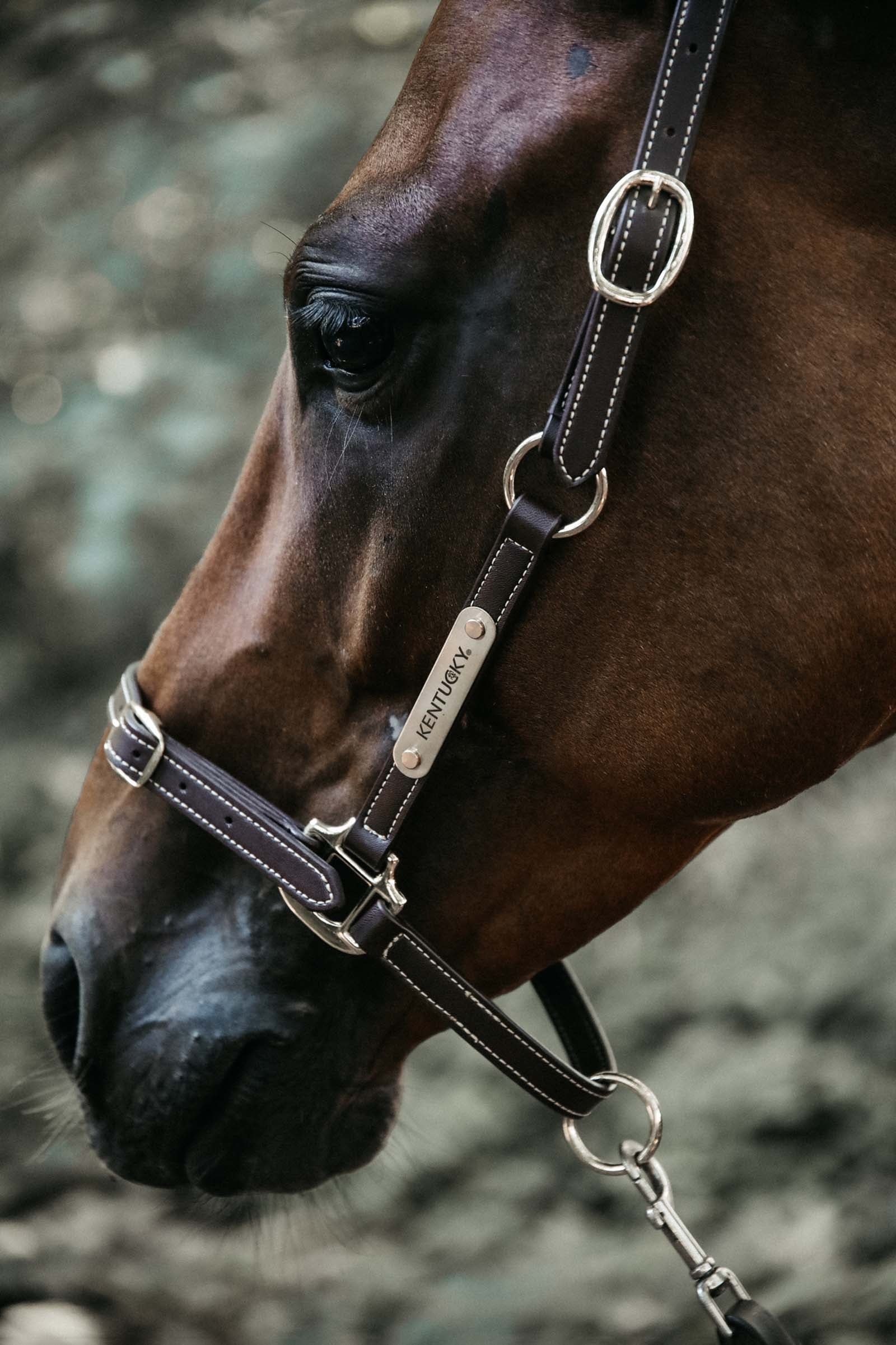 Kentucky Horsewear Neck Strap For Flexible Faux Leather Halter Halters & Leads