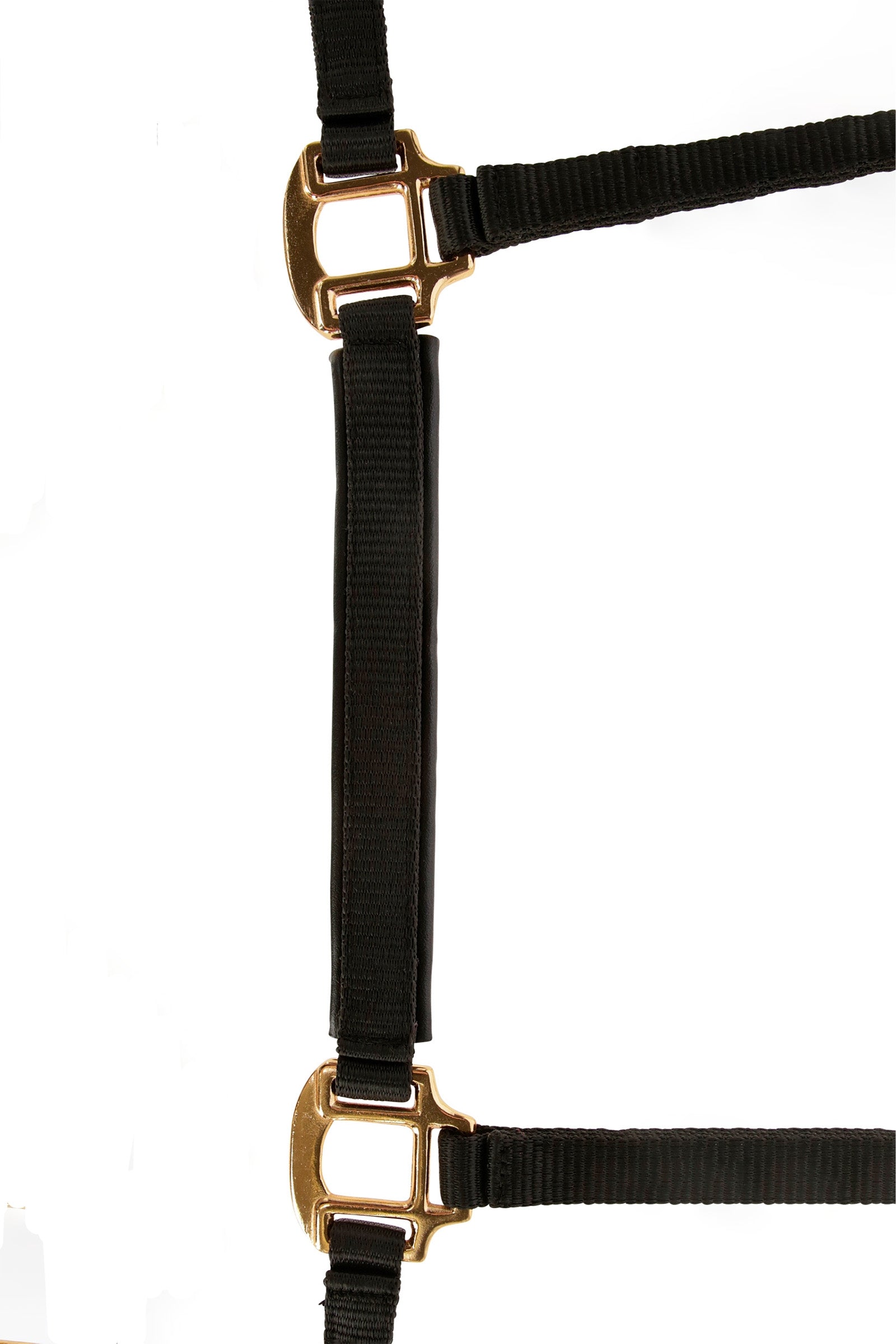 Covalliero TopLine Foal Halter Halters & Leads