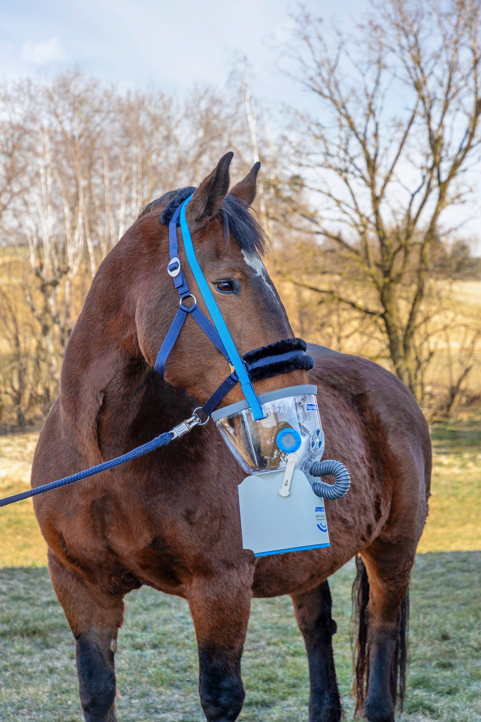 Hippomed Inhalation Mask incl. Accessories for Air One Flex, Draft Horse Feed & Nutrition