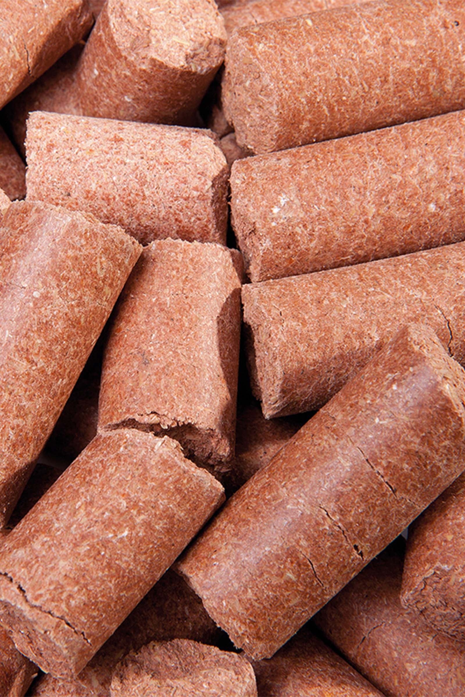 Speed Carrot Delicious Speedies, Treats, 5kg Horse Feed & Nutrition