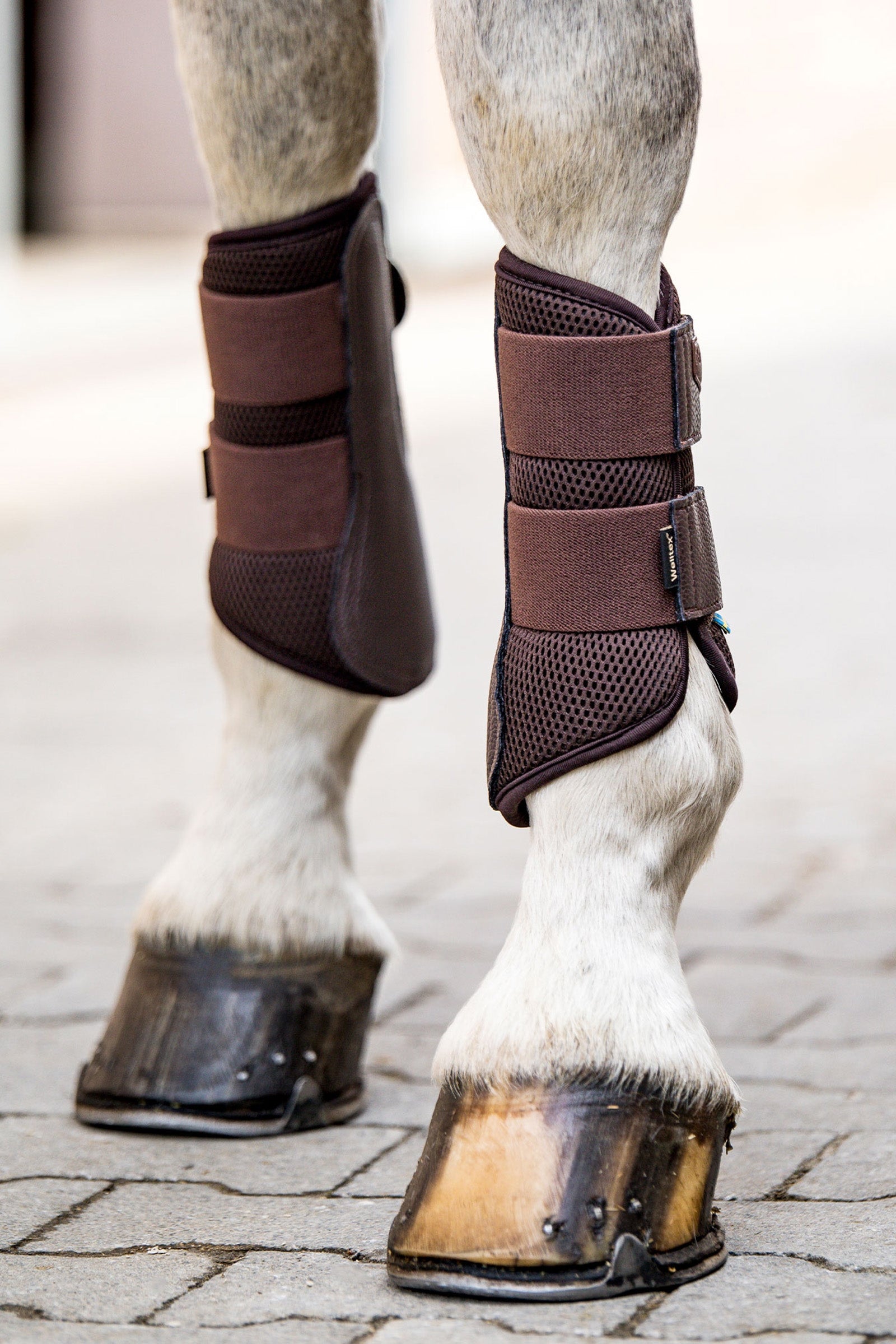 Back on Track Welltex® Airflow Brushing Boots Leg & Hoof Protection