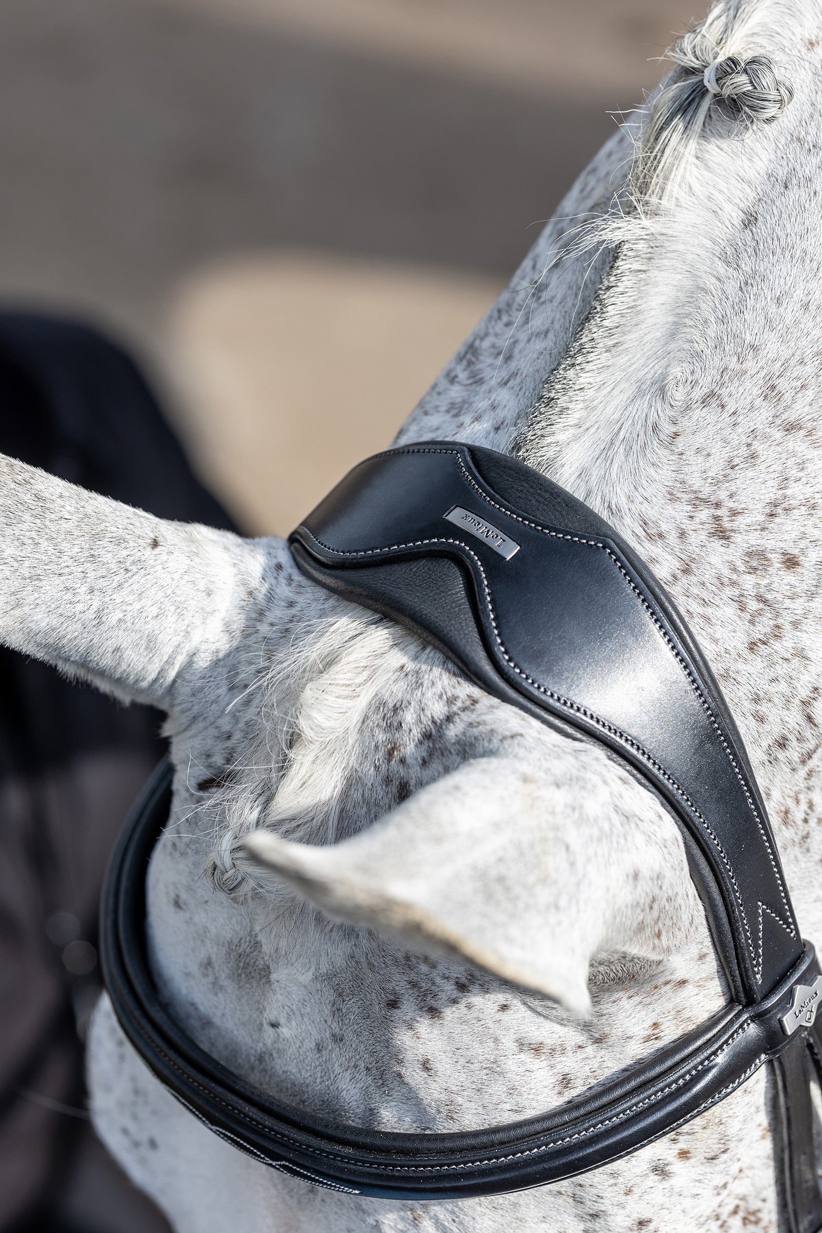 LeMieux Competiton Flash Bridle Bridles & Reins