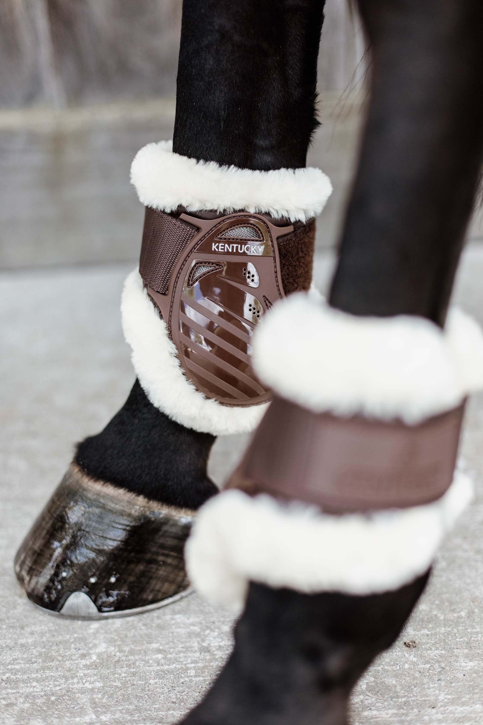 Kentucky Horsewear Vegan Sheepskin Young Horse Fetlock Boots Leg Protection & Hoof Protection for Horses