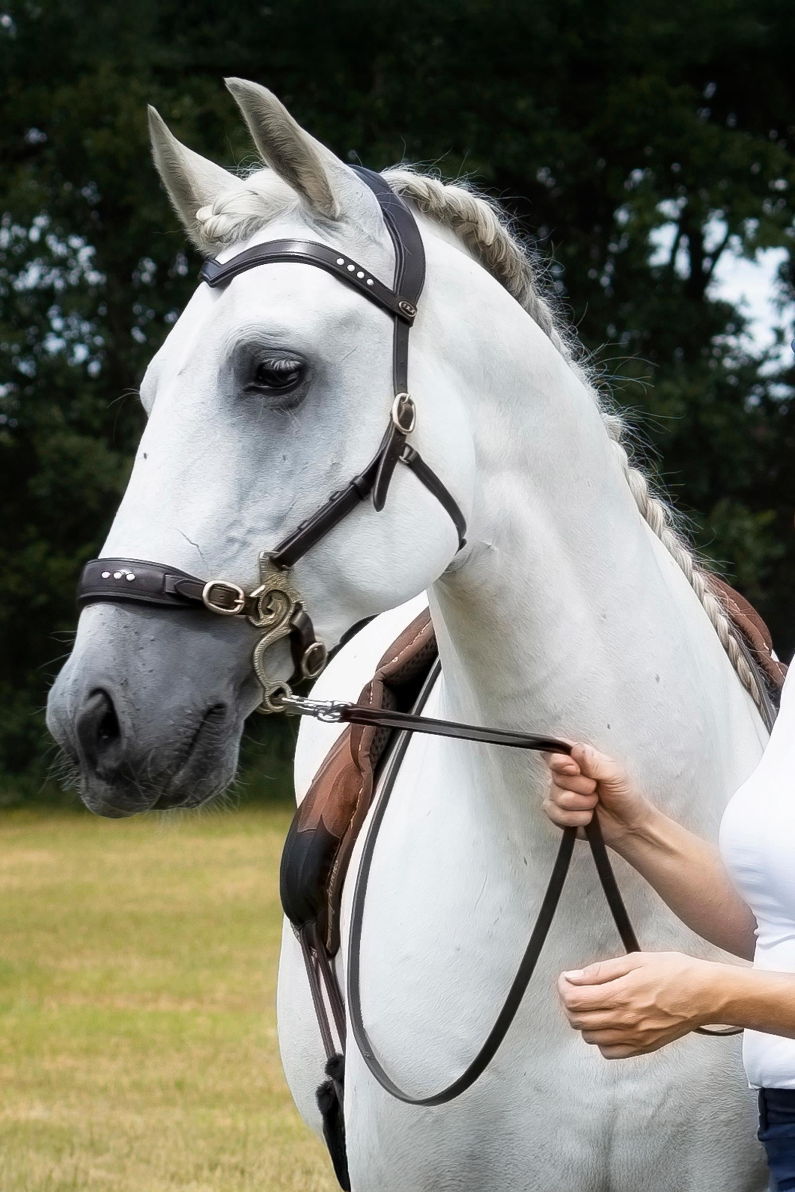 F.R.A. Freedom Riding Articles Glory Hackamore Bridle With Reins (System 2), brown Bridles & Reins