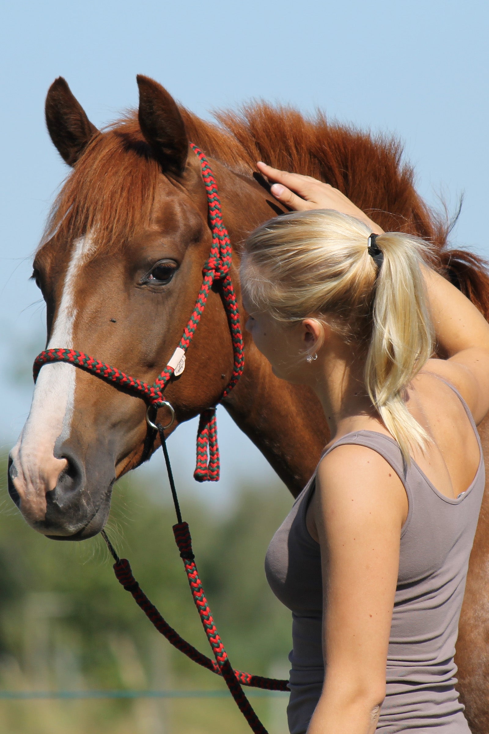 F.R.A. Freedom Riding Articles Igor Bitless Bridle (System 4) Bridles & Reins