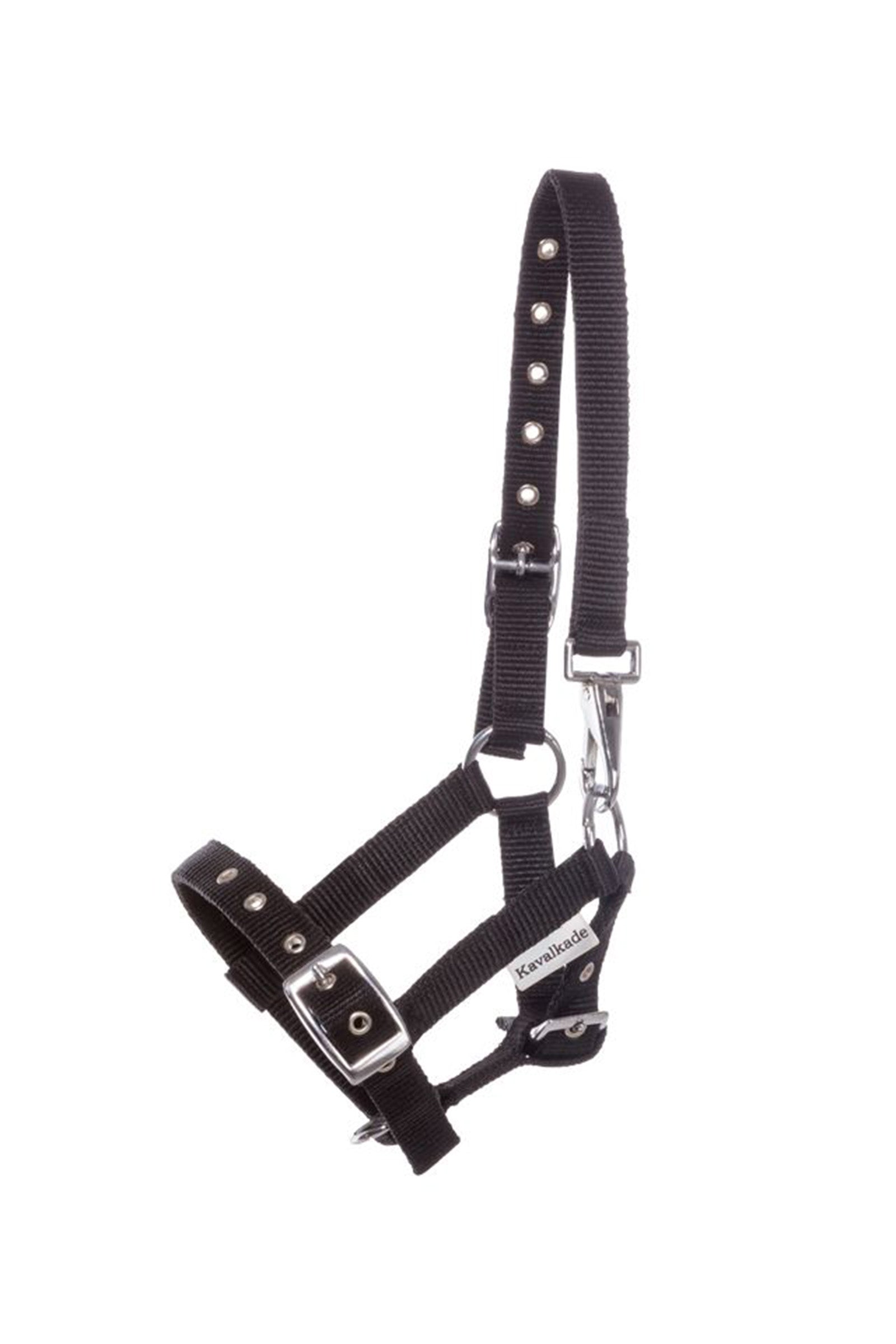 Kavalkade Foal & Yearling Halter Halters & Leads