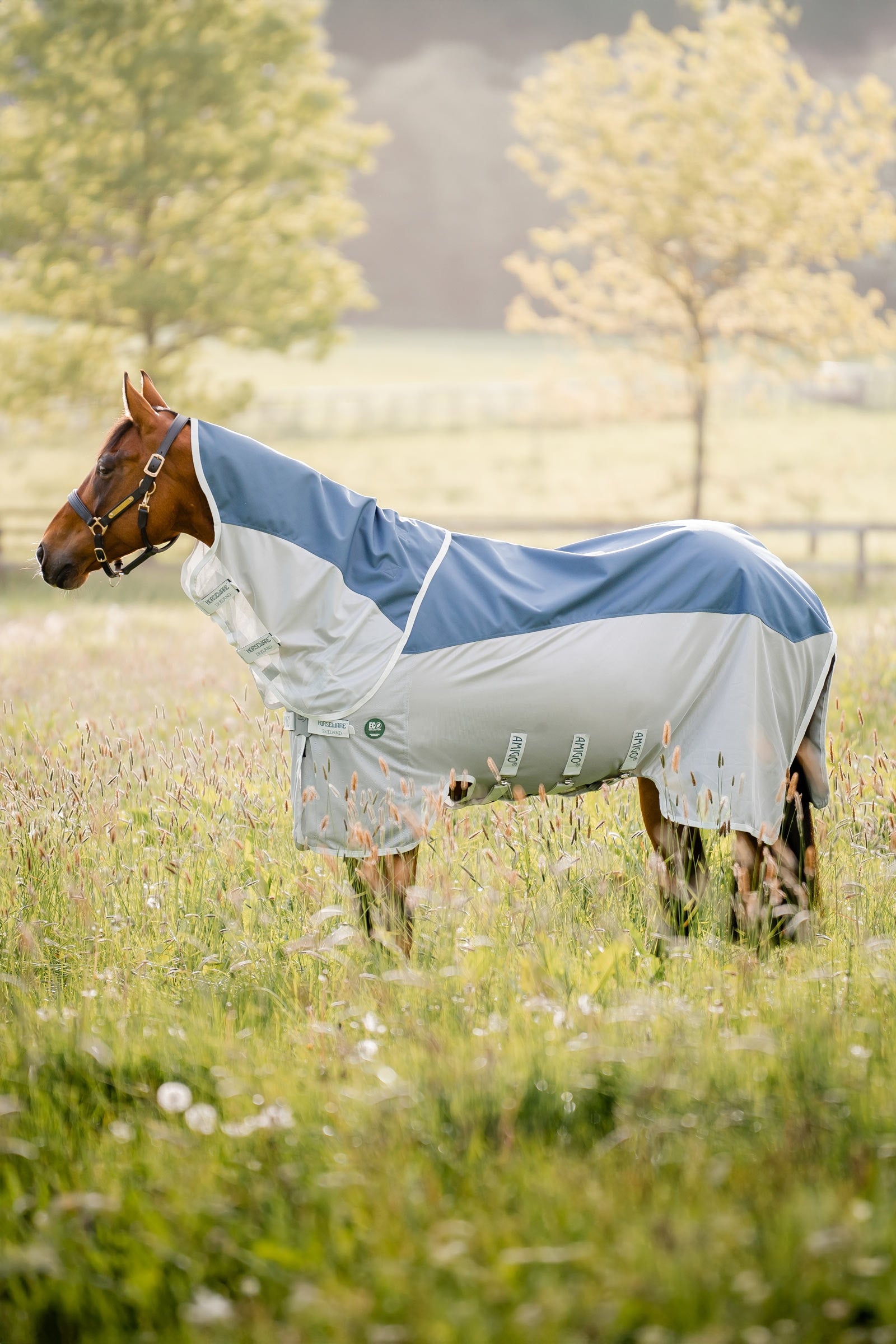 Horseware Amigo AmEco Combi Fly Rug Horse Rugs