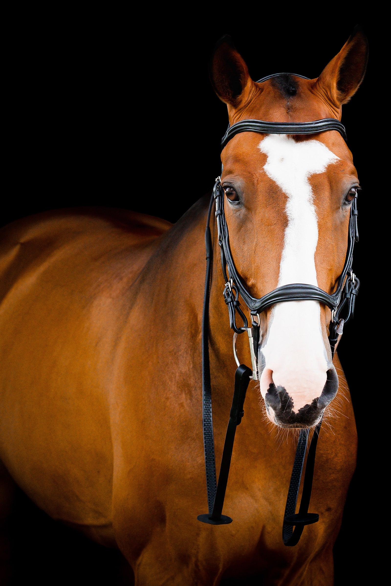 Horseware Micklem 2 Deluxe Competition Bridle Bridles & Reins