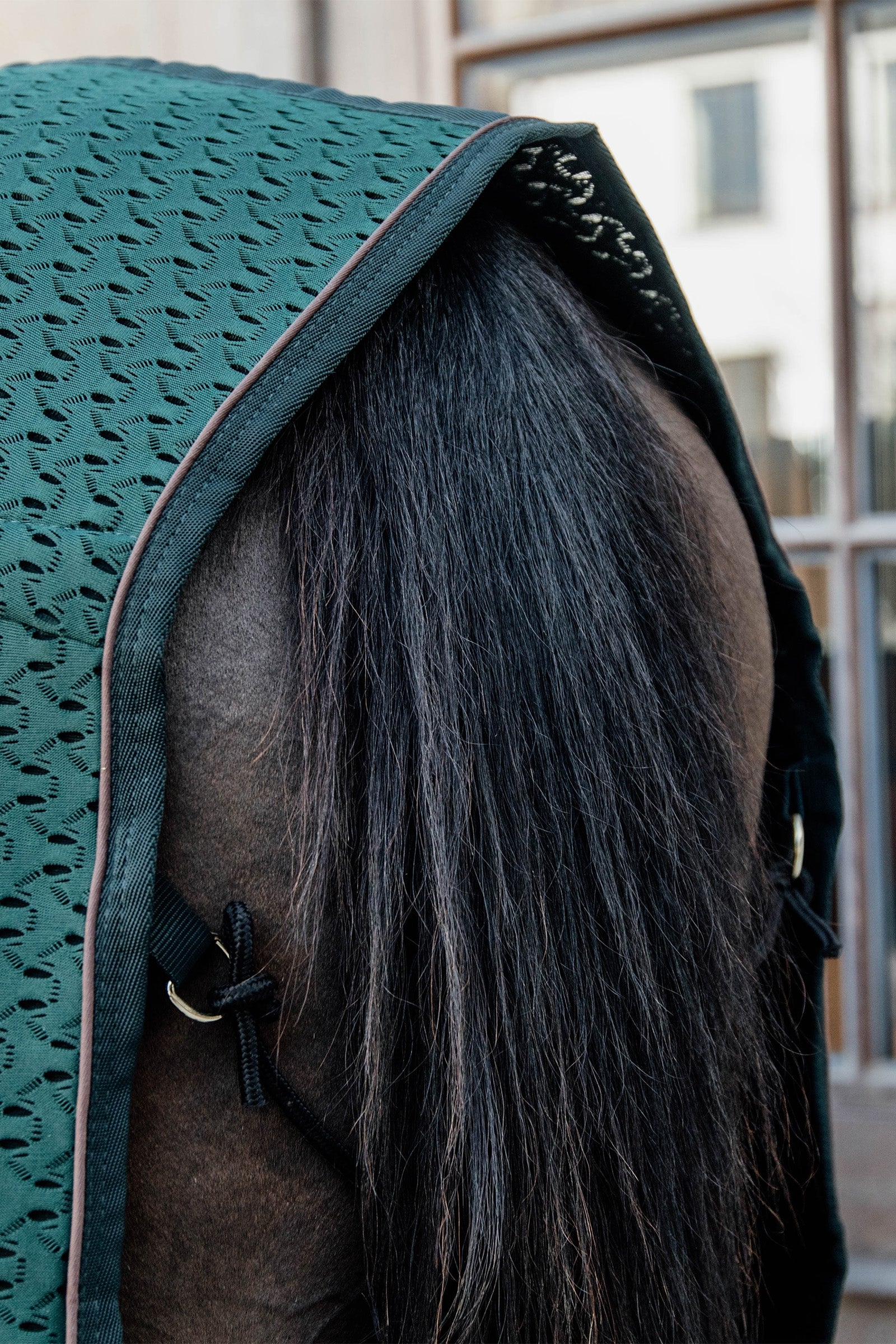 Lifestyle shot 3