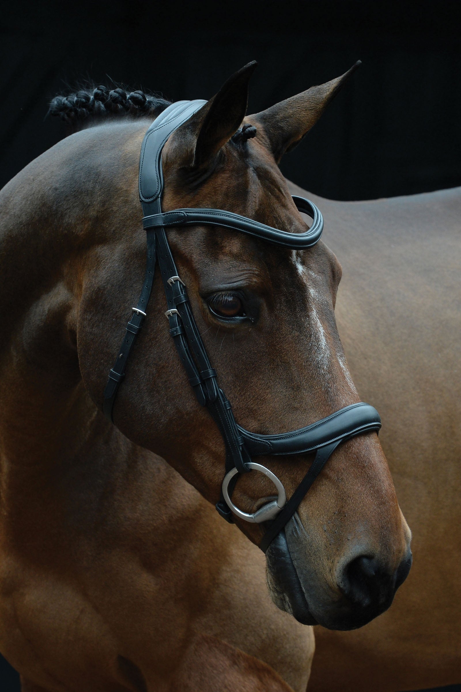 Collegiate Comfitec Vogue Anatomical Bridle Bridles & Reins