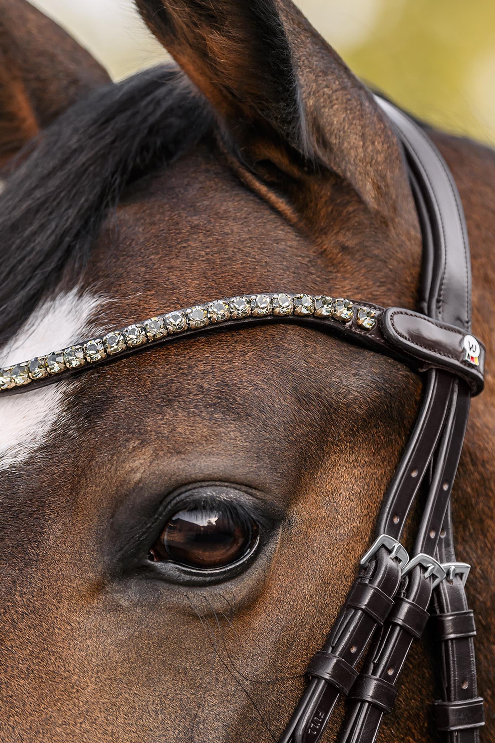 Waldhausen X-Line Shine Browband Bridles & Reins