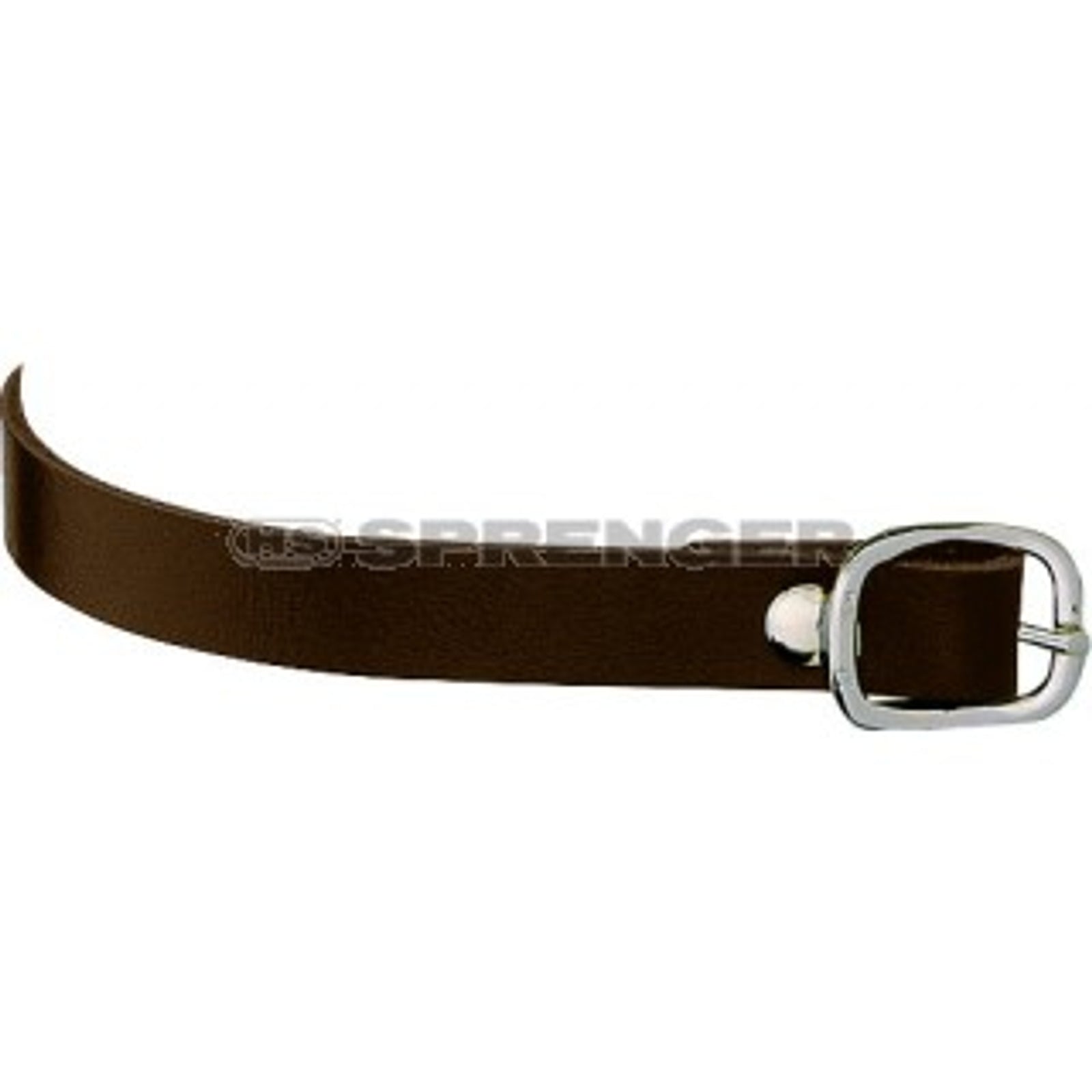 Alt Tag fallback text for IMAGE