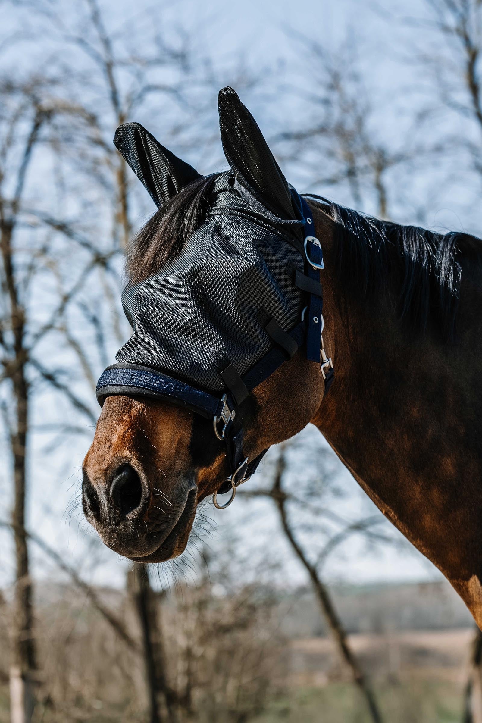Equi Theme EQUITHÈME Halter Fly Mask/ UV Mask Antifly Protection for Horses