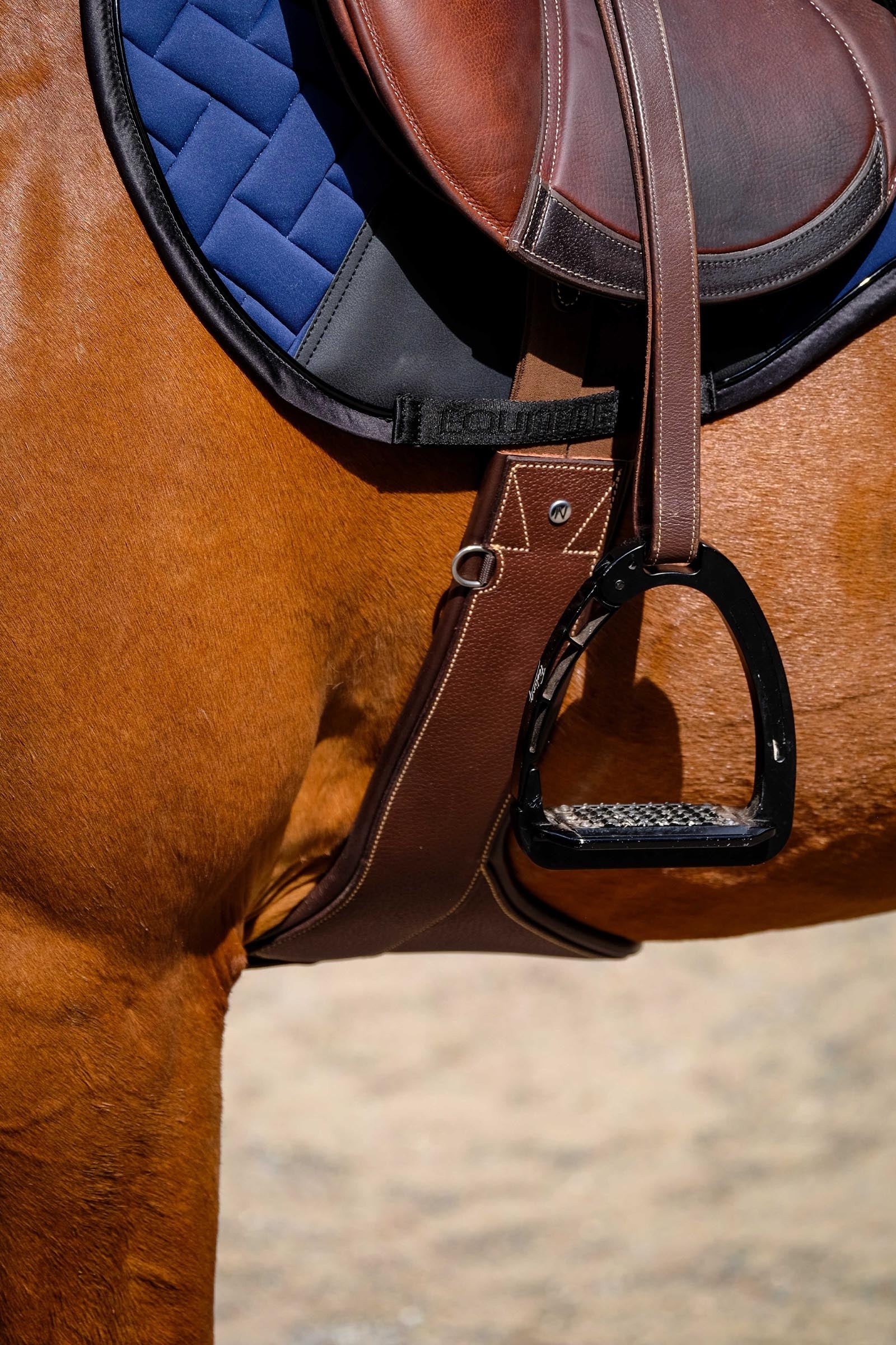 Equi Theme EQUITHÈME Impulsion Saddle Pad Saddle Pads