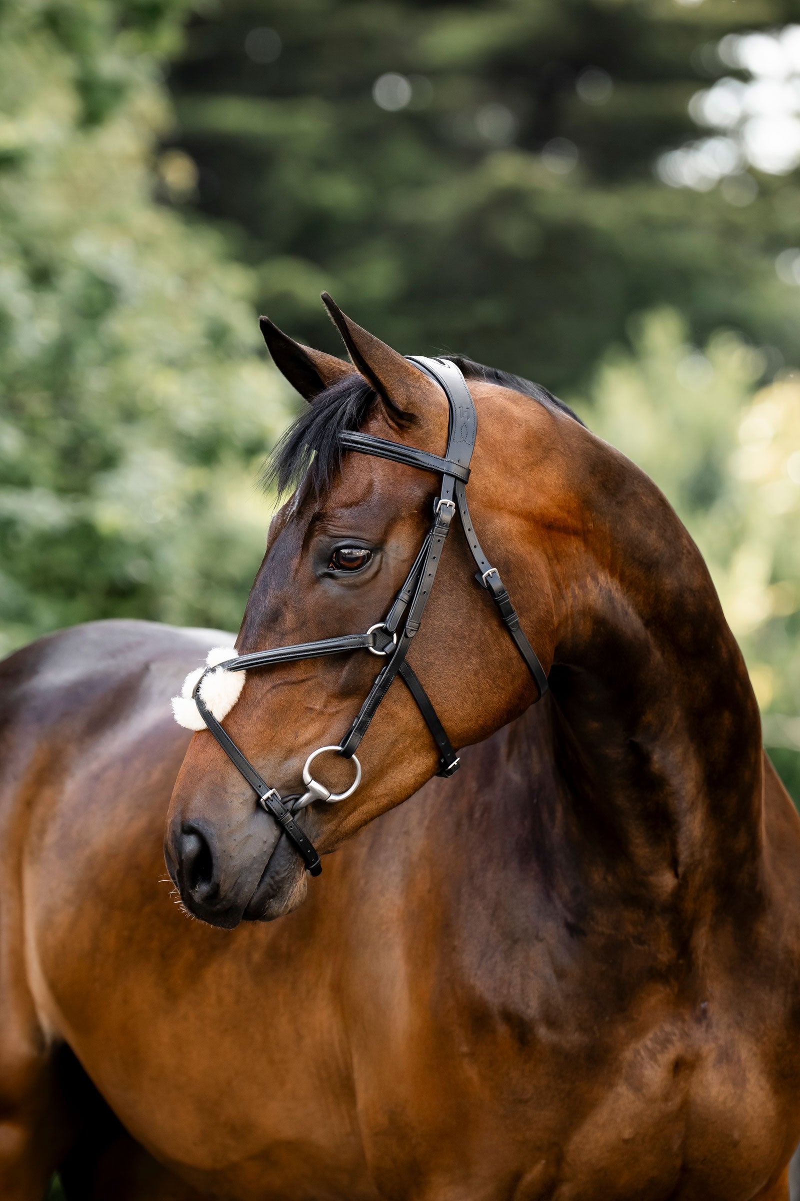 Horseware Figure 8 Grackle Bridle Bridles & Reins