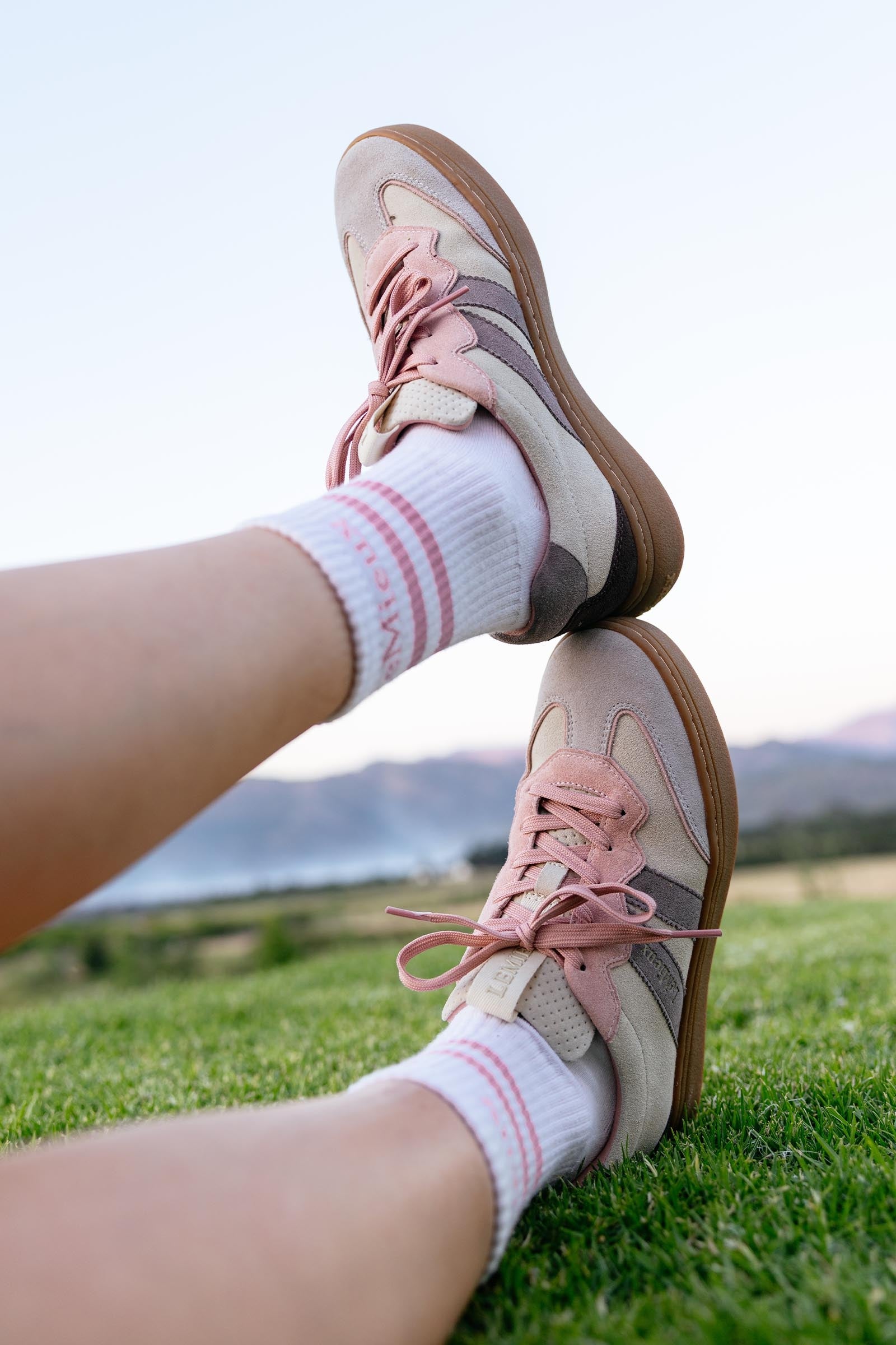 LeMieux Crew Socks 2 Pack Socks