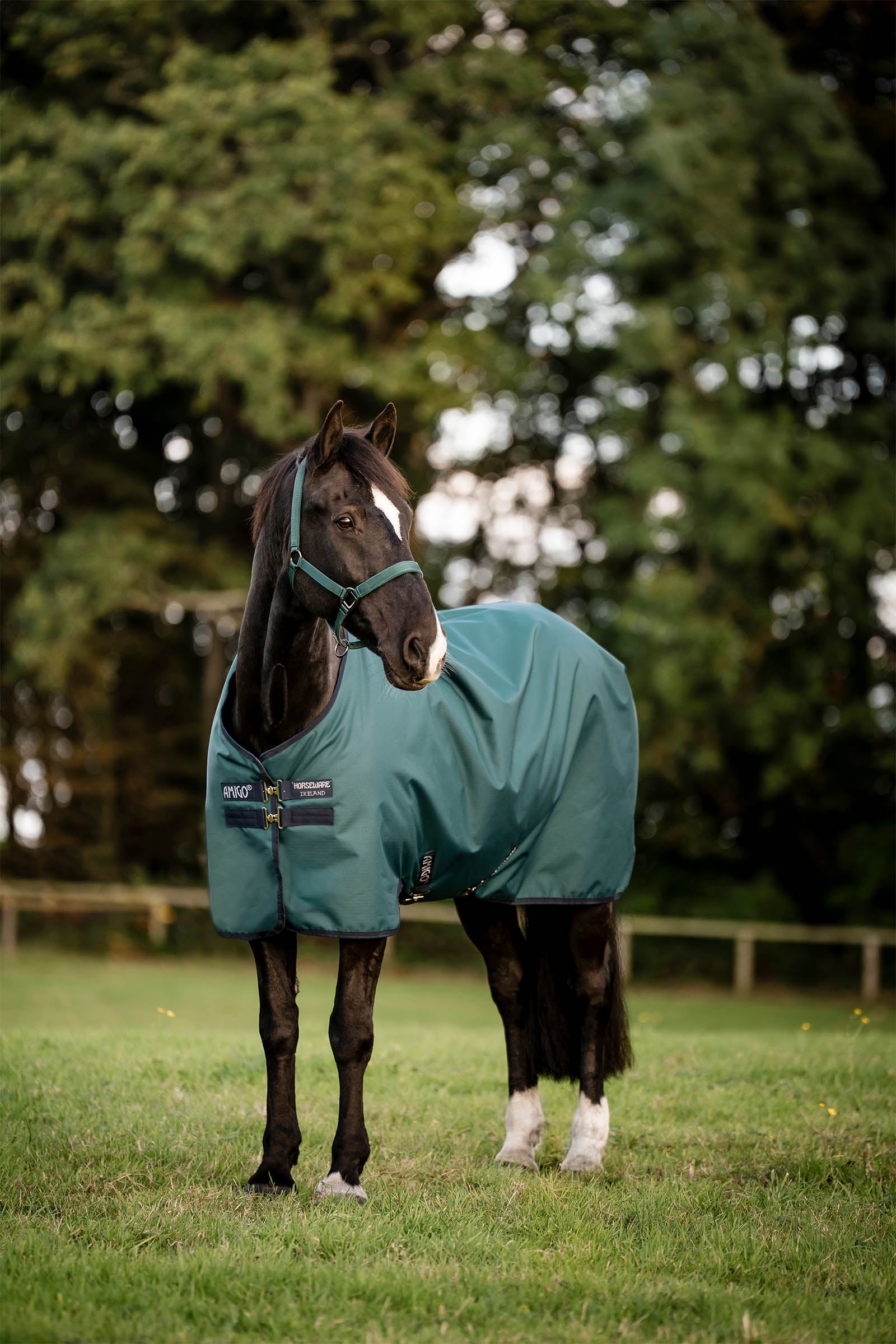 Horseware Amigo Ripstop 900D Turnout Rug, 100 g Horse Rugs
