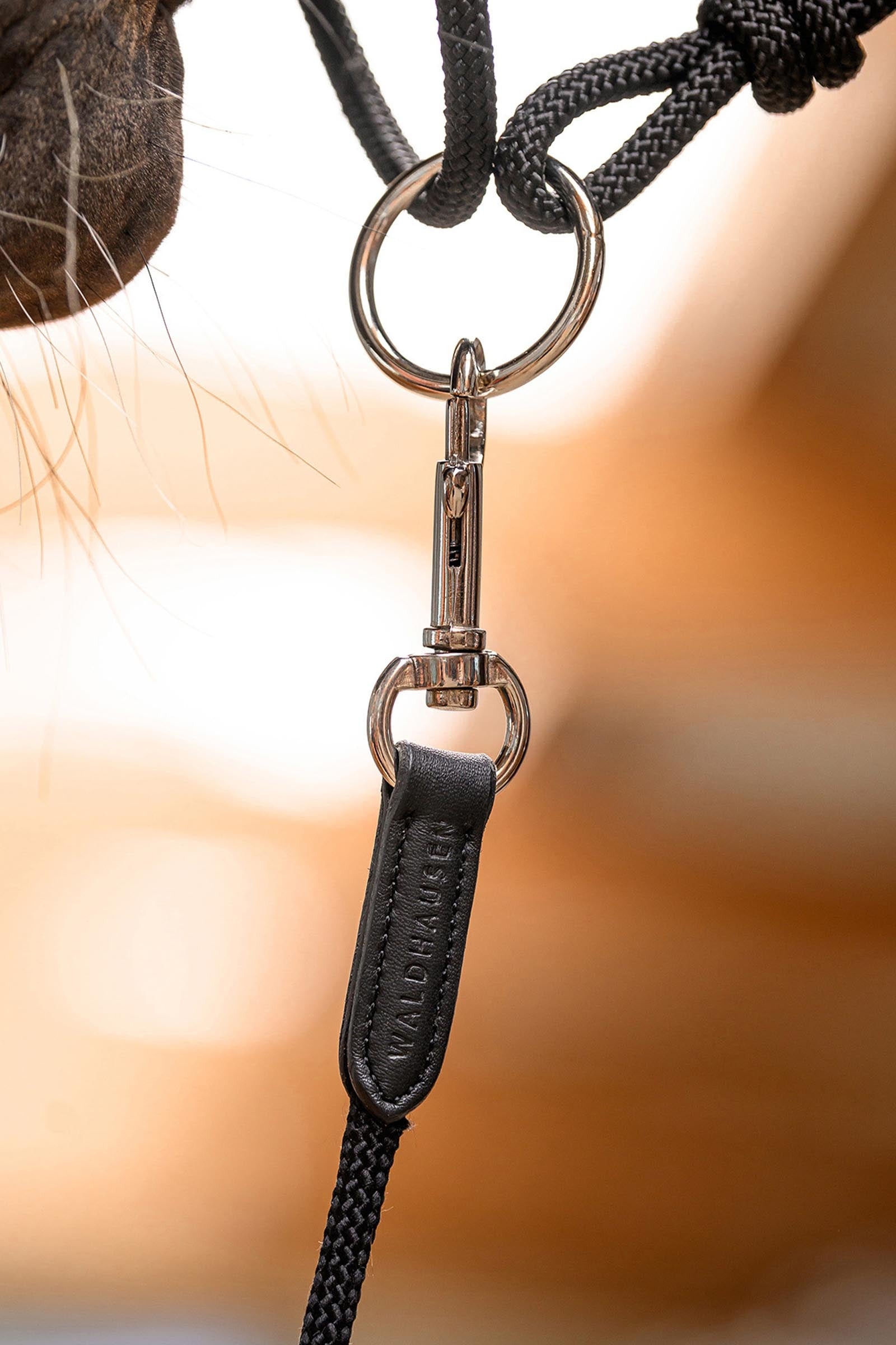 Waldhausen Fine Ground Work Rope with Carabiner Horse Training