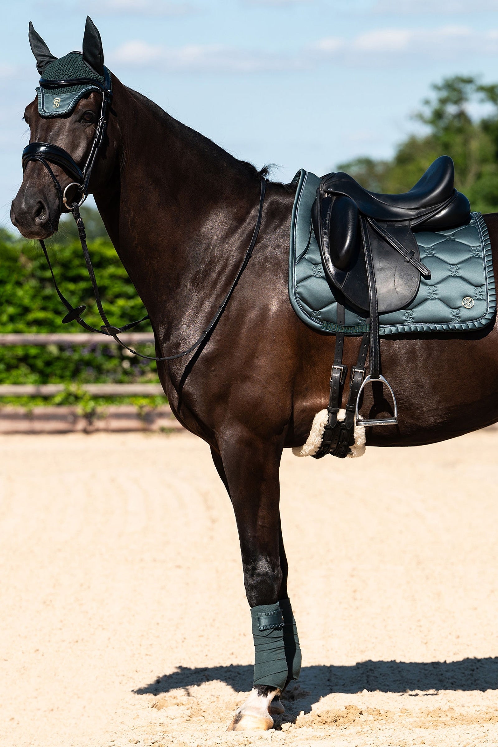 PS of Sweden Ruffle Dressage Saddle Pad Saddle Pads
