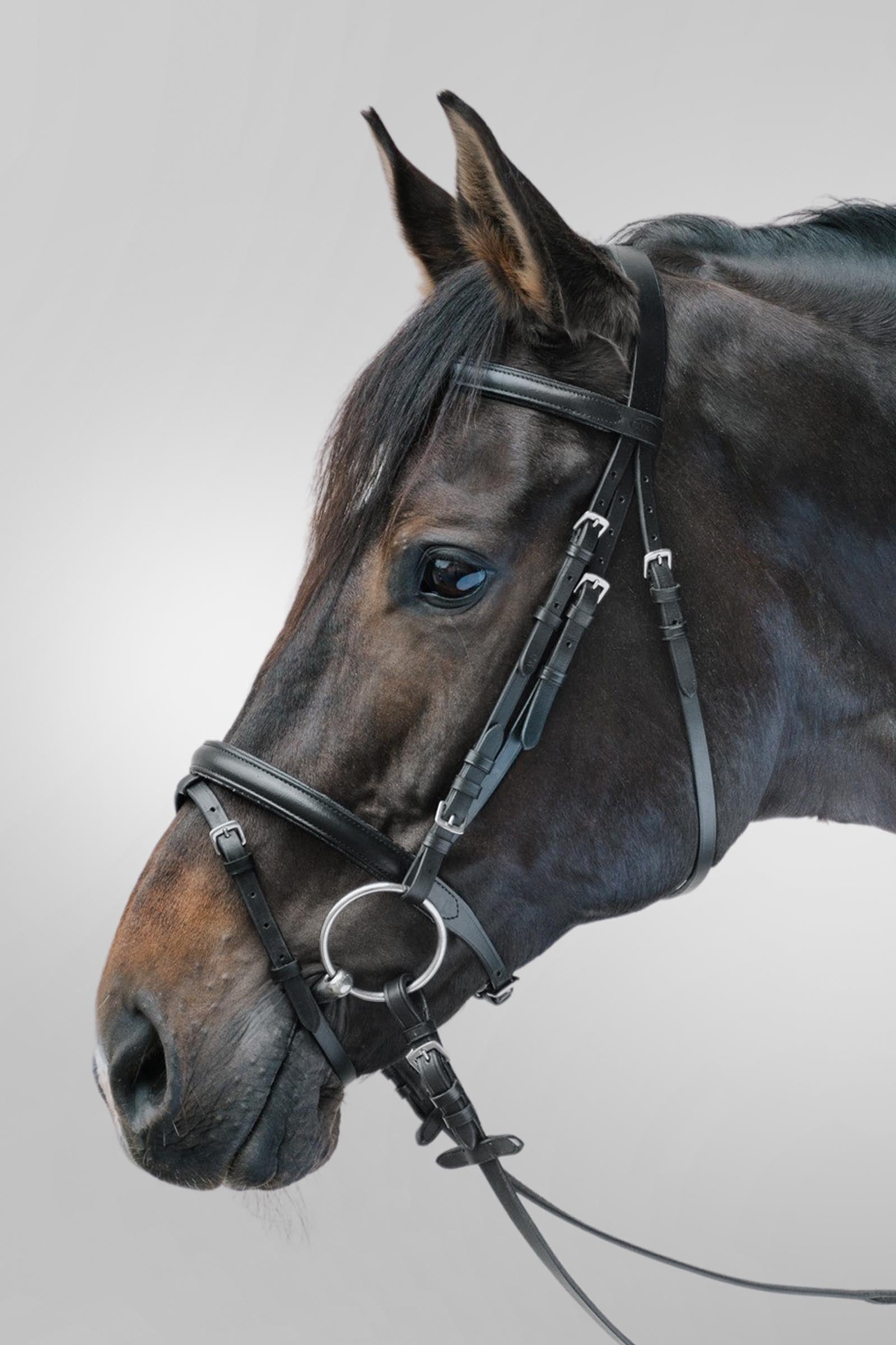 Star Lifestyle Leather Bridle Bridles & Reins
