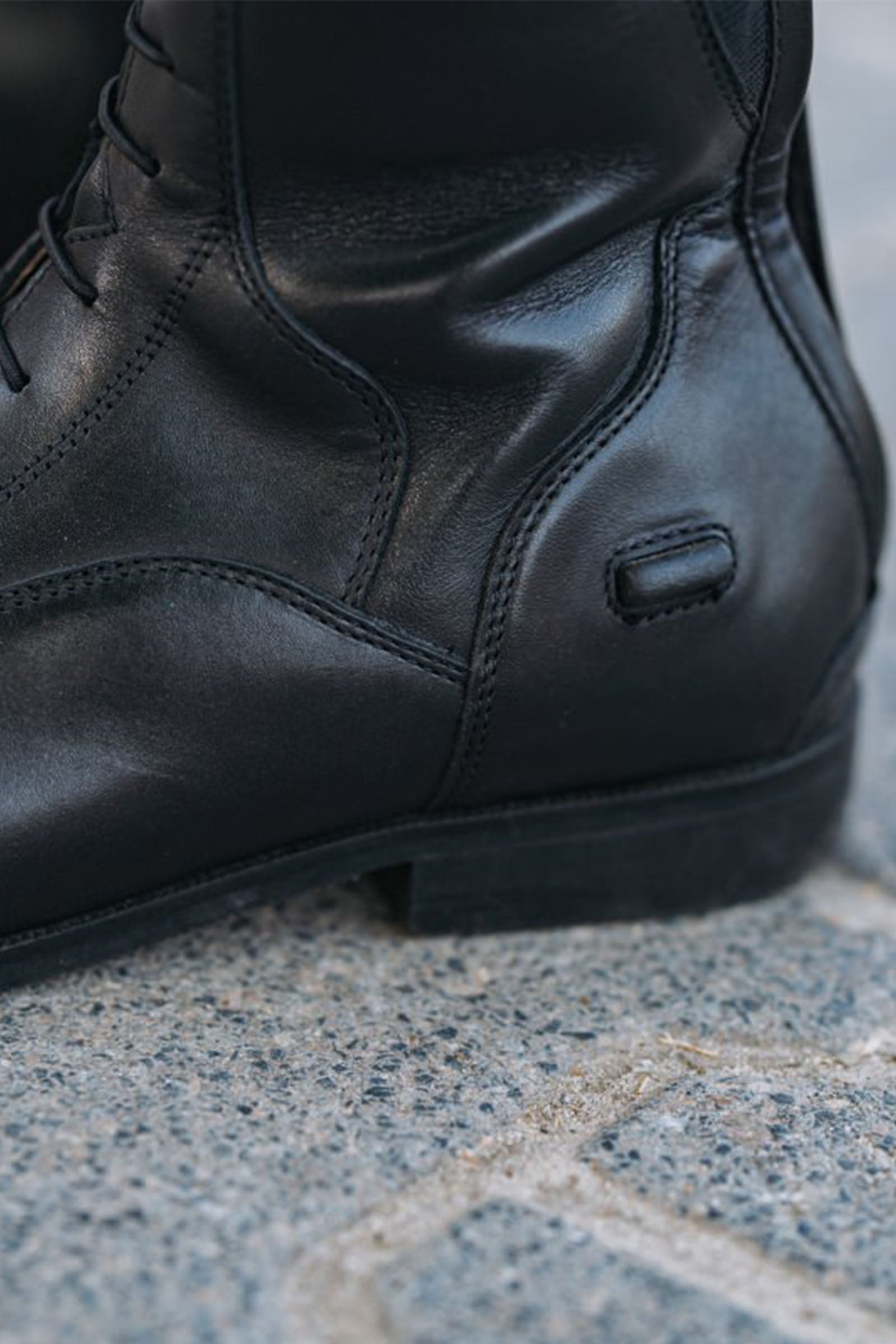 Suedwind Footwear Florentina Tall Riding Boots Riding Boots & Riding Shoes