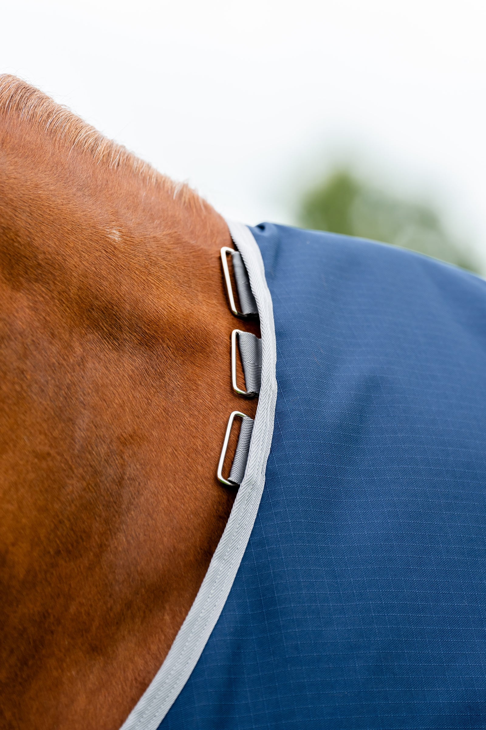 Horseware Amigo Ripstop 900D Turnout Rug, 200 g Horse Rugs