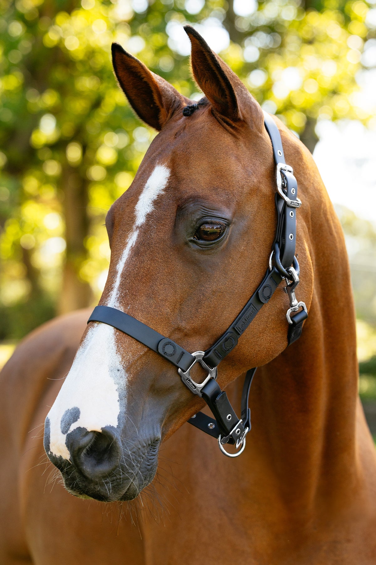 LeMieux FieldFlex Headcollar Halters & Leads
