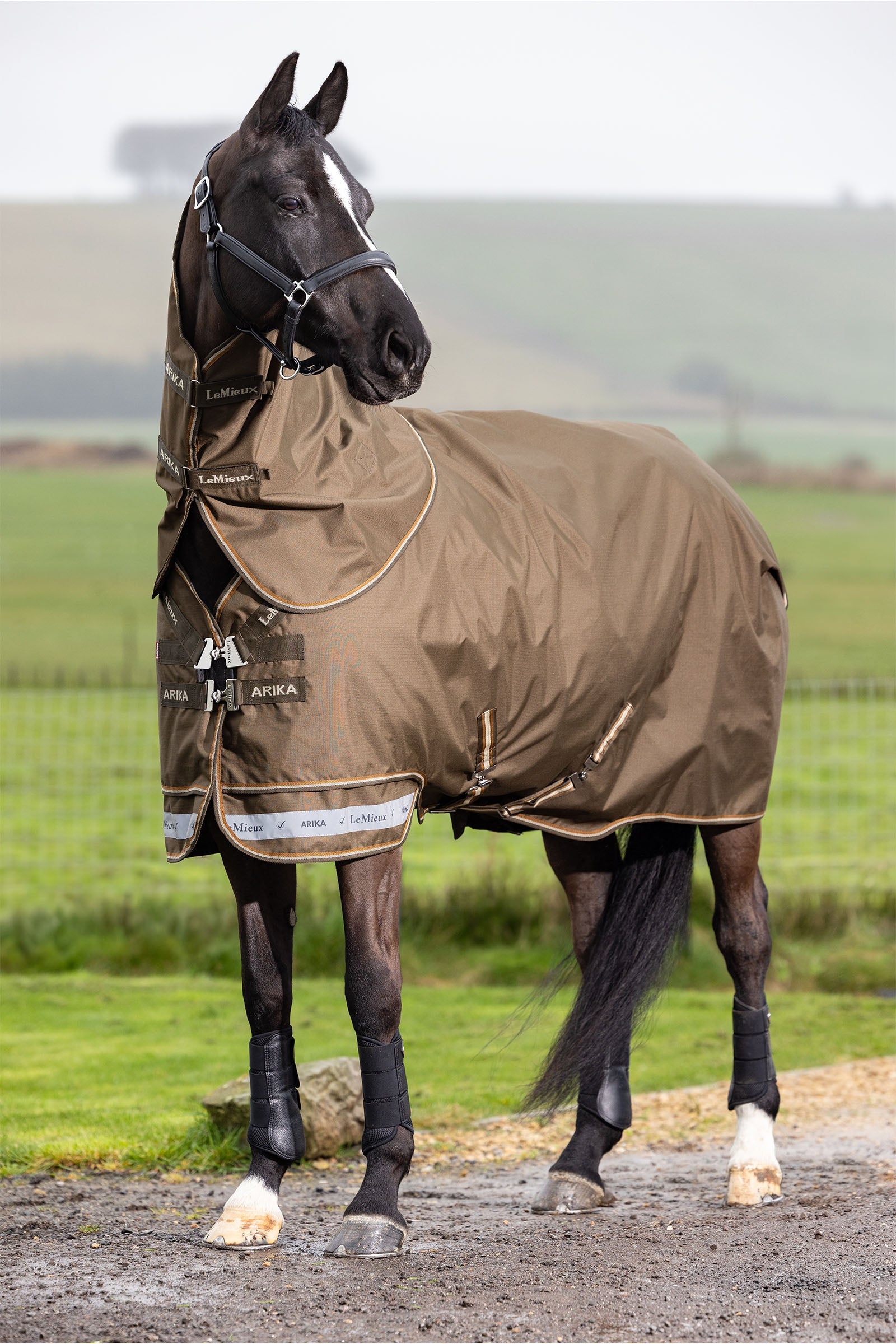 LeMieux Arika Ripstop Turnout Rug With Detachable Neck, 200 g Horse Rugs