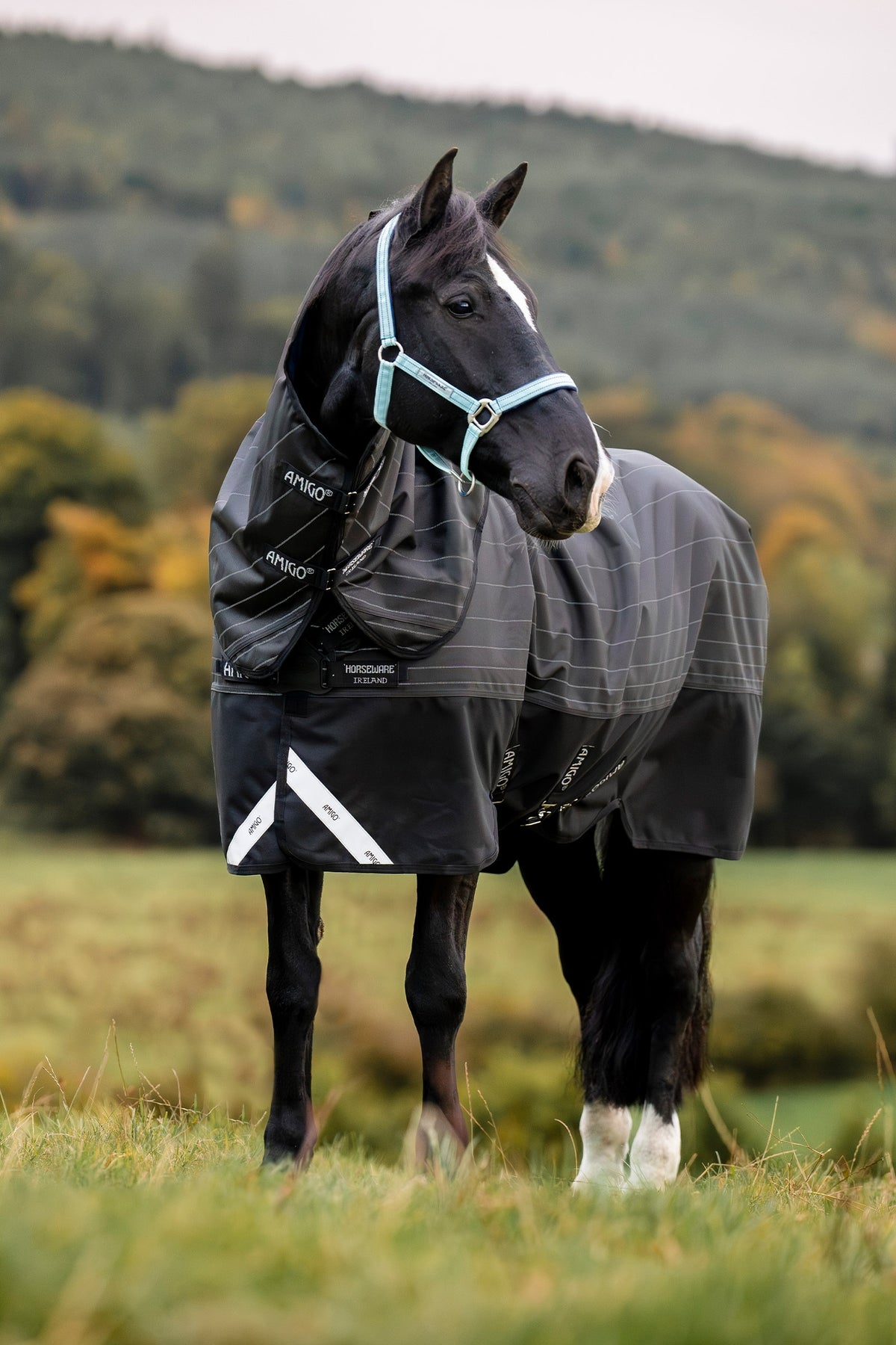 Horseware Amigo 1200D FieldSafe Reflectech Plus Turnout With Detachable Neck, 0 g Horse Rugs