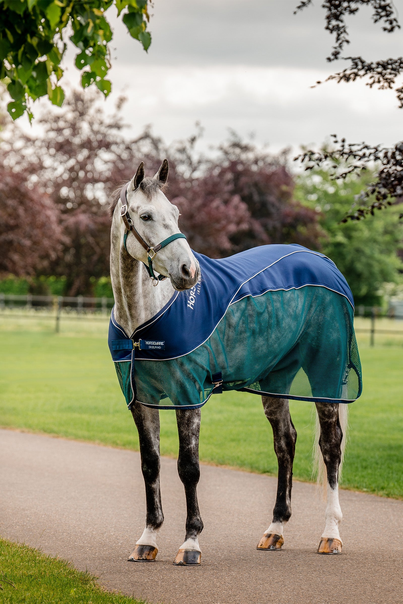 Horseware Signature Sport Cooler Horse Rugs