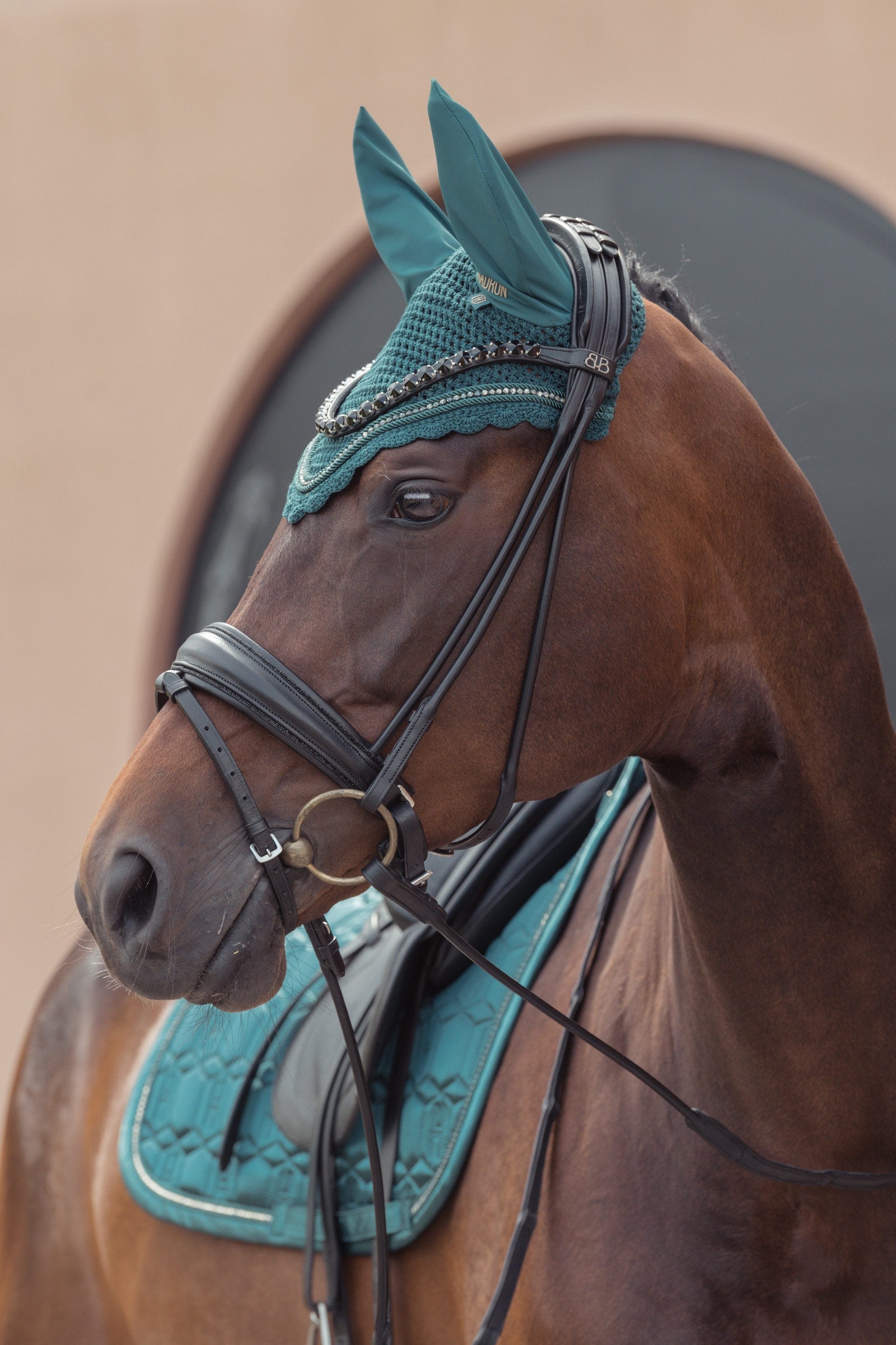 Eskadron Heritage AW24 Crystal Fly Hood Saddle Pads