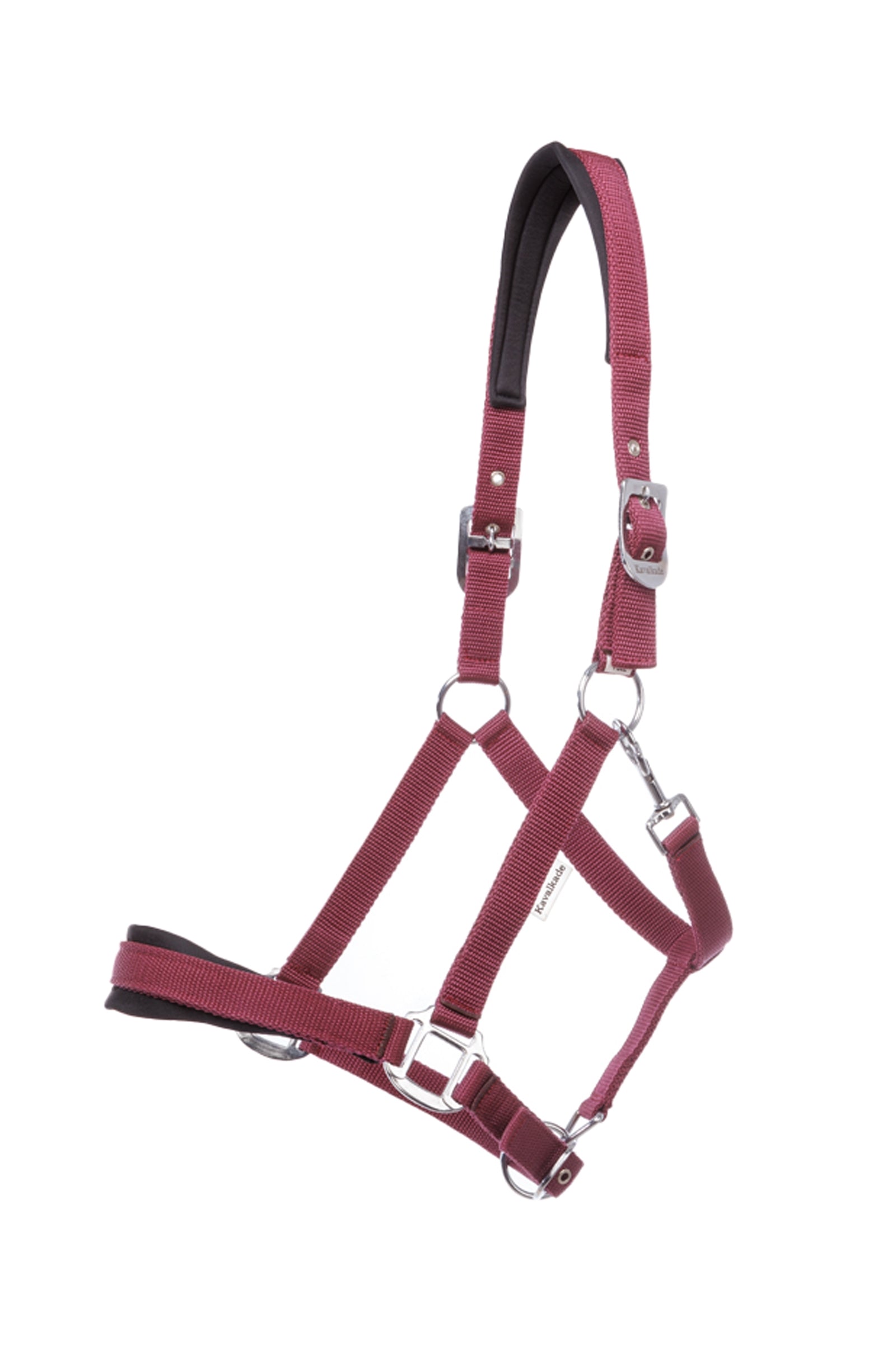 Kavalkade Classic Simple Halter Halters & Leads