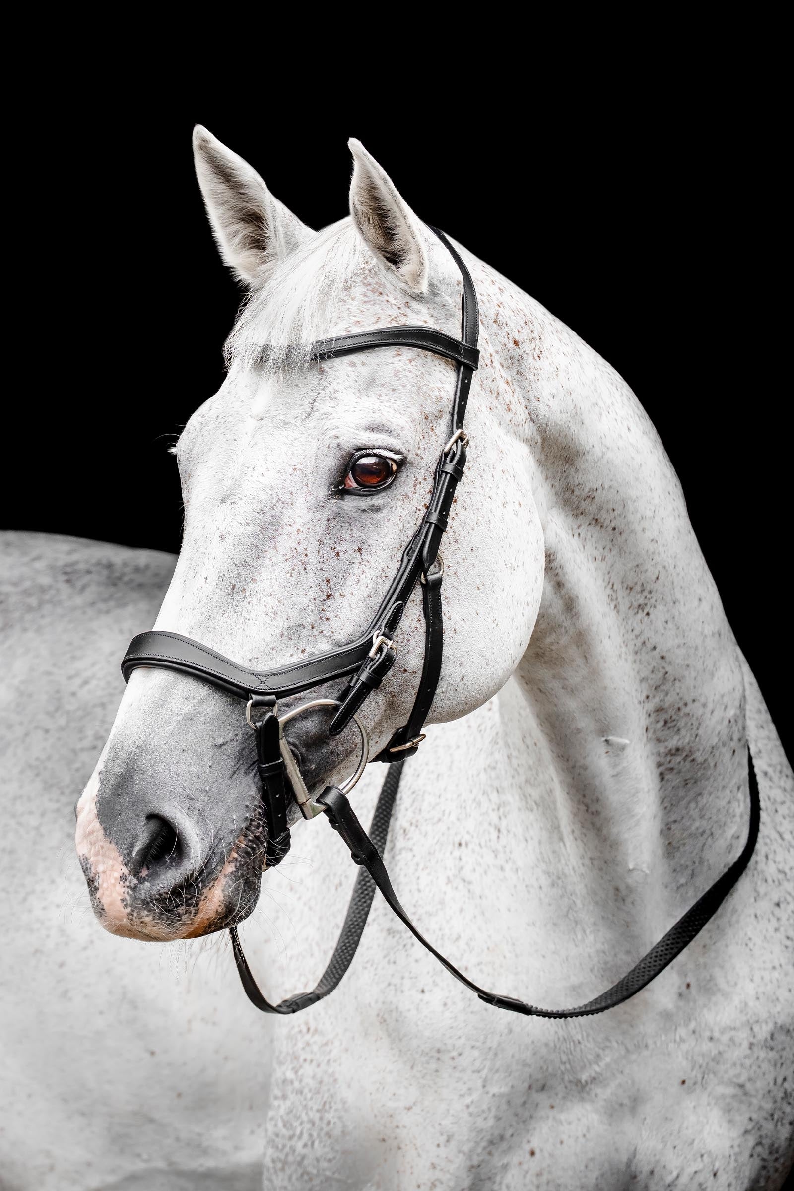 Horseware Rambo Micklem Competition Bridle Bridles & Reins