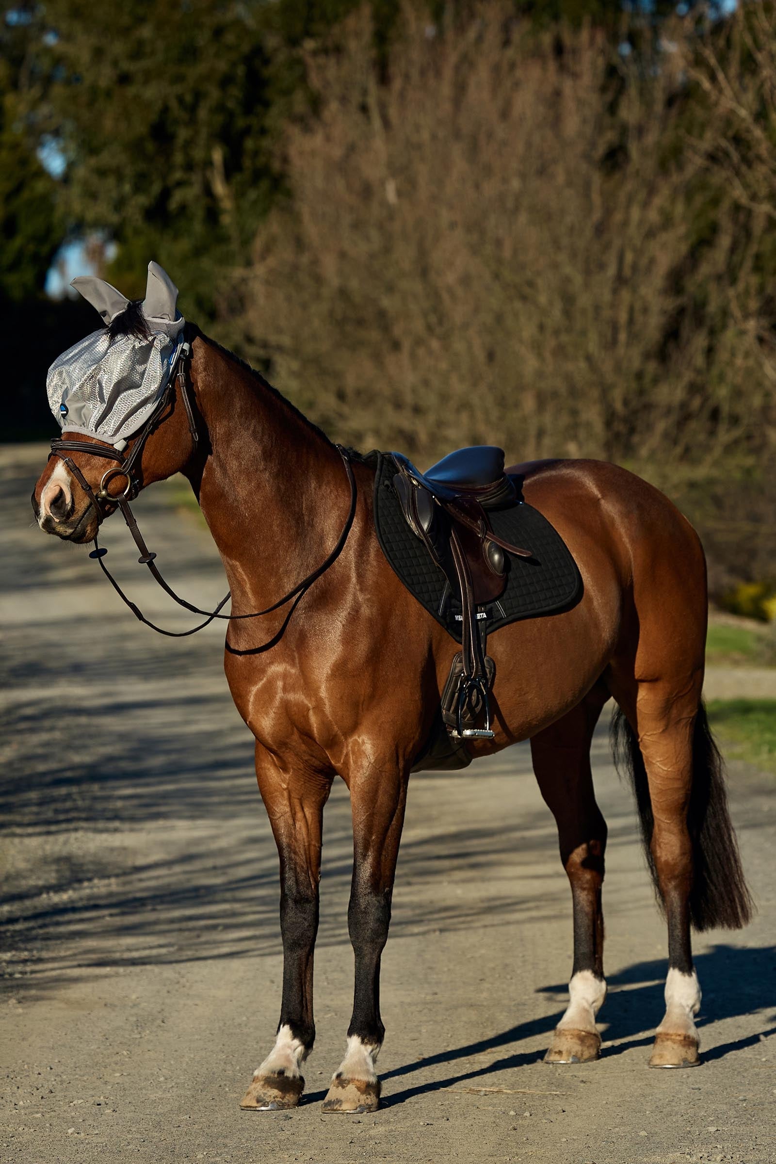 Weatherbeeta Comfitec Hexi Shield Ride On Fly Mask Antifly Protection for Horses