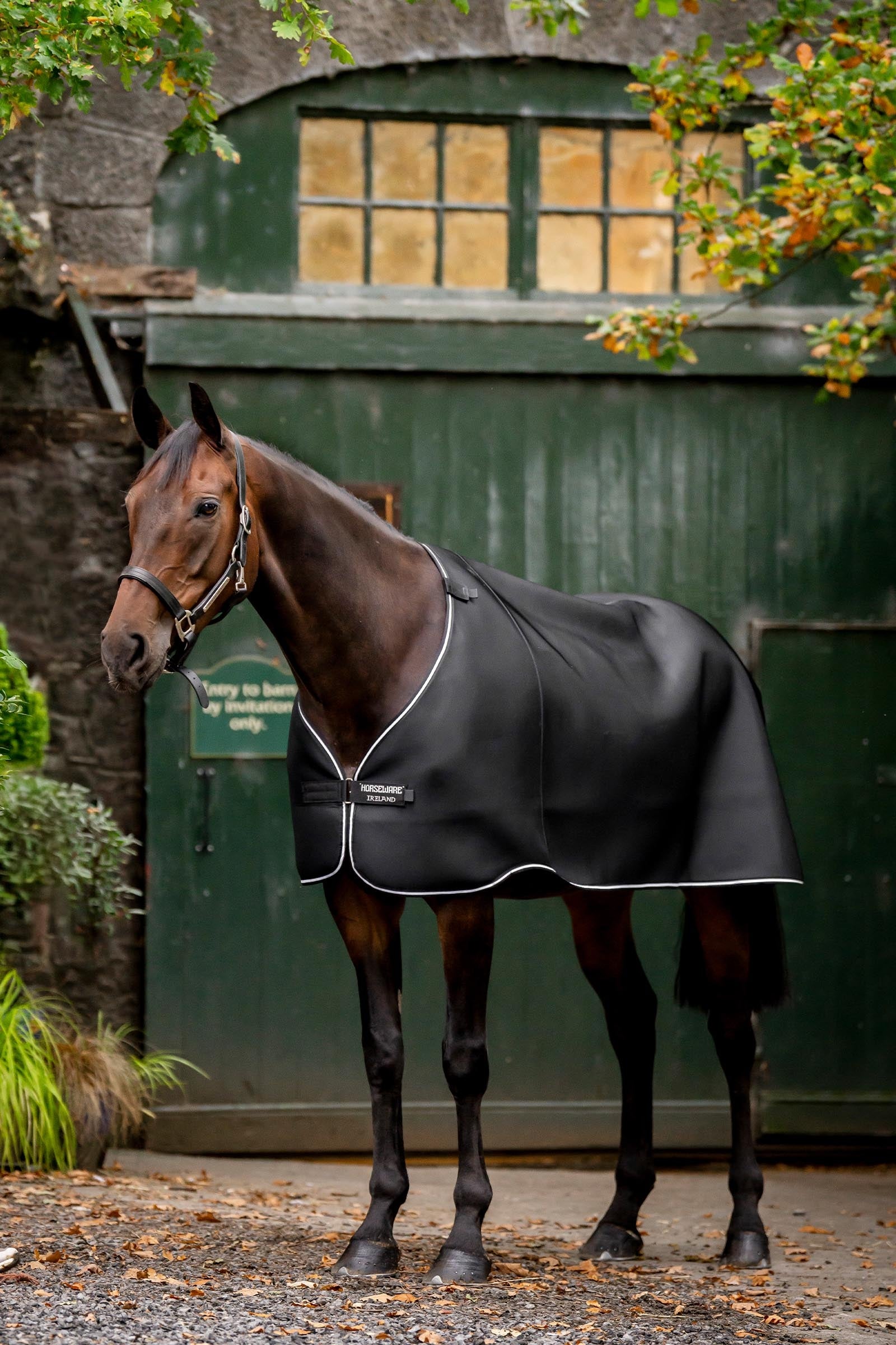Horseware Rambo Airmax Liner, 0 g Horse Rugs