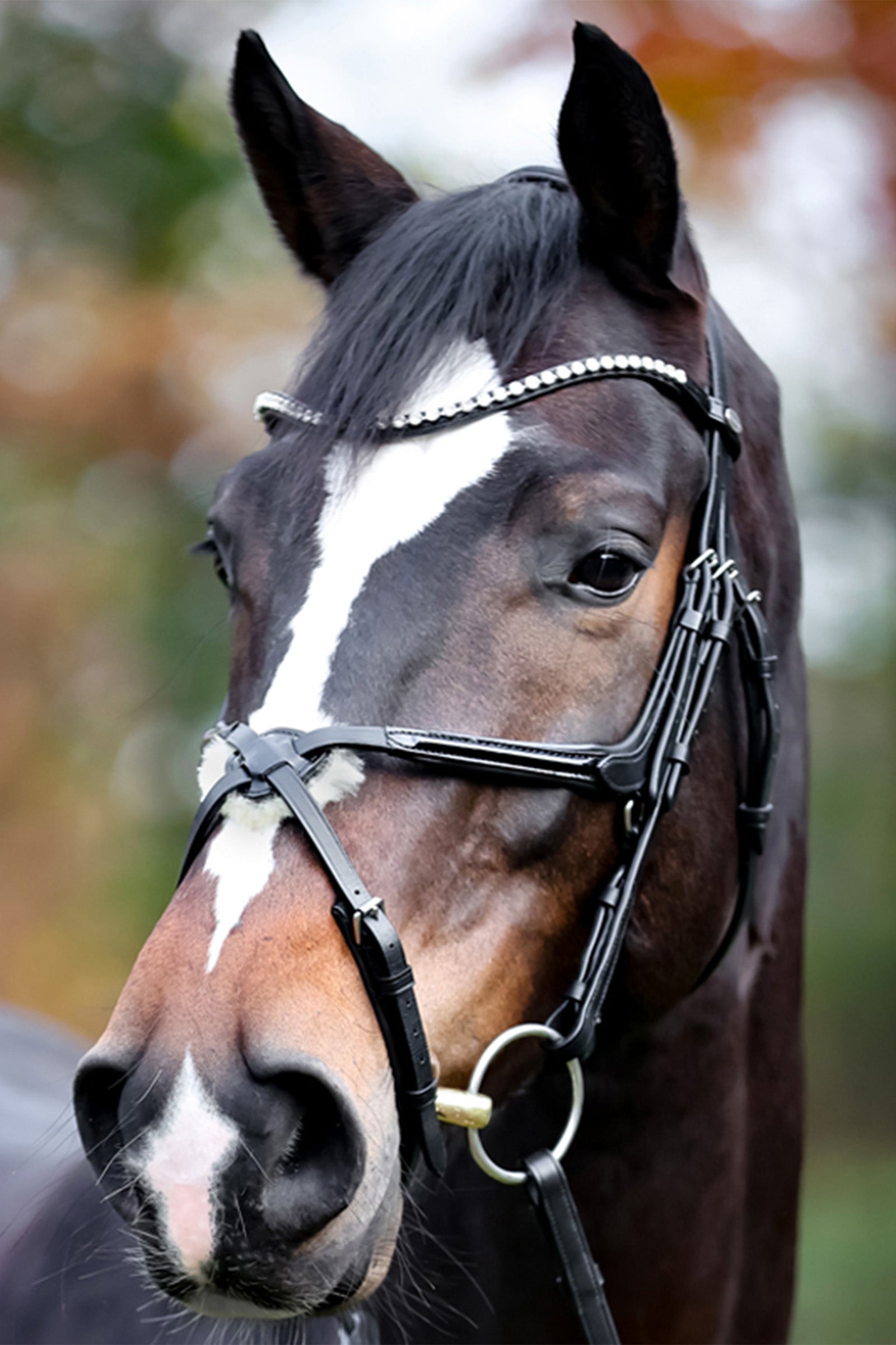 Kavalkade Lucia Mexican Bridle Bridles & Reins