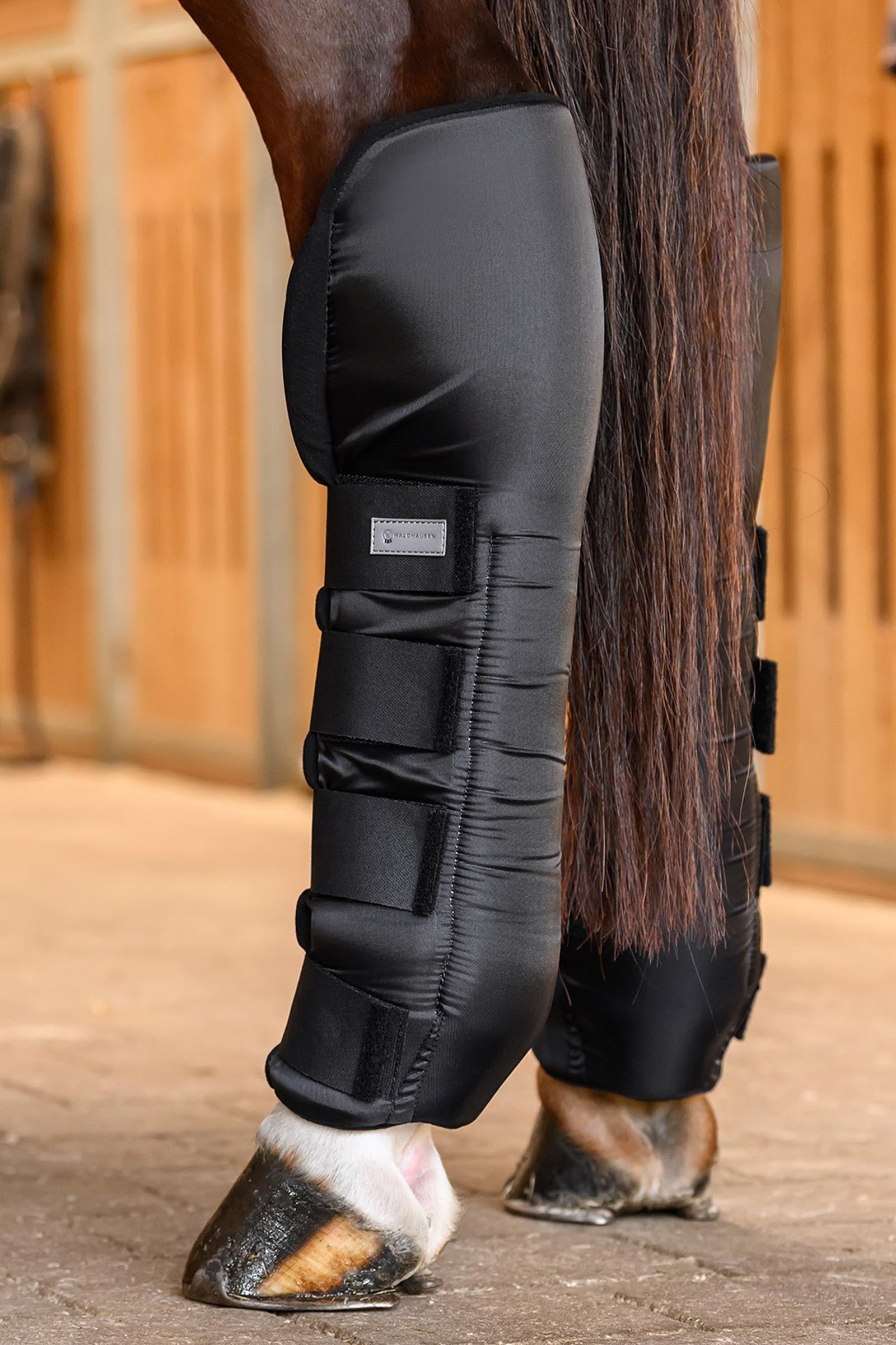 Waldhausen Stable & Transport Boots with Joint Support, hind Leg & Hoof Protection