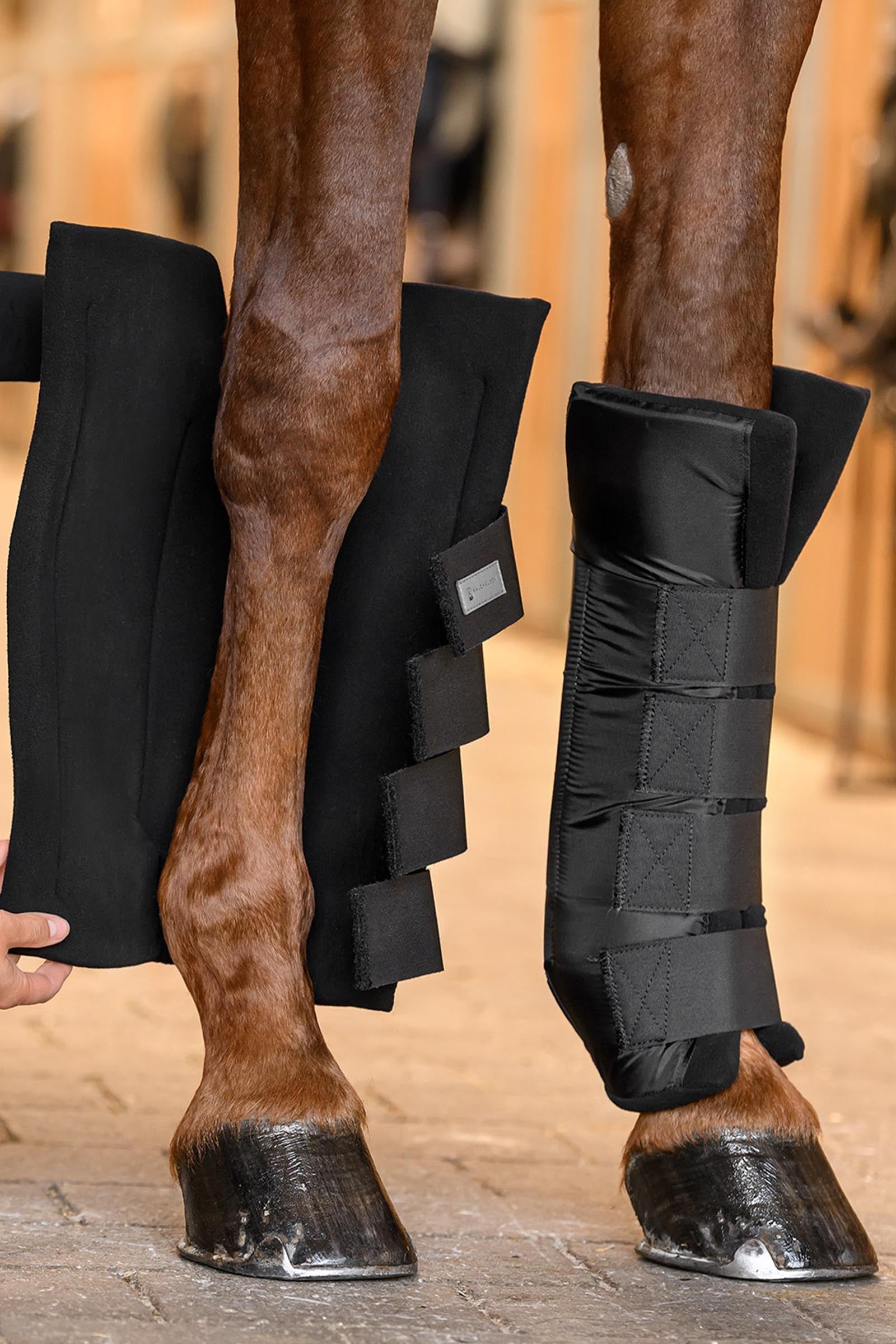 Waldhausen Stable & Transport Boots with Joint Support, hind Leg & Hoof Protection