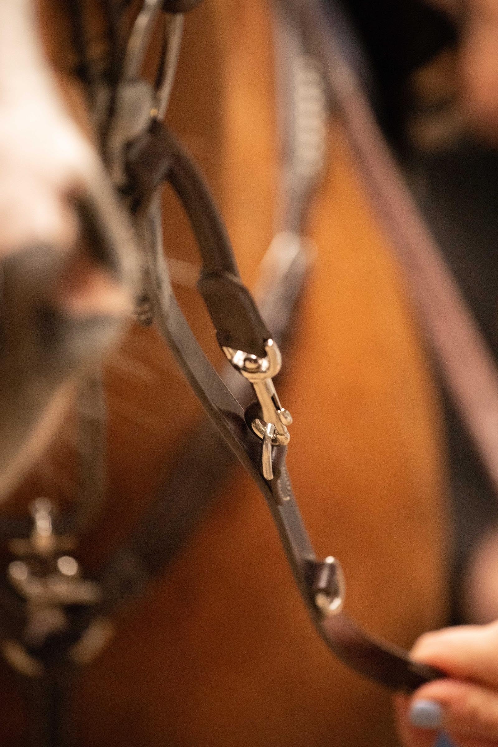 PENELOPE Howlett Training Aid Bridles & Reins