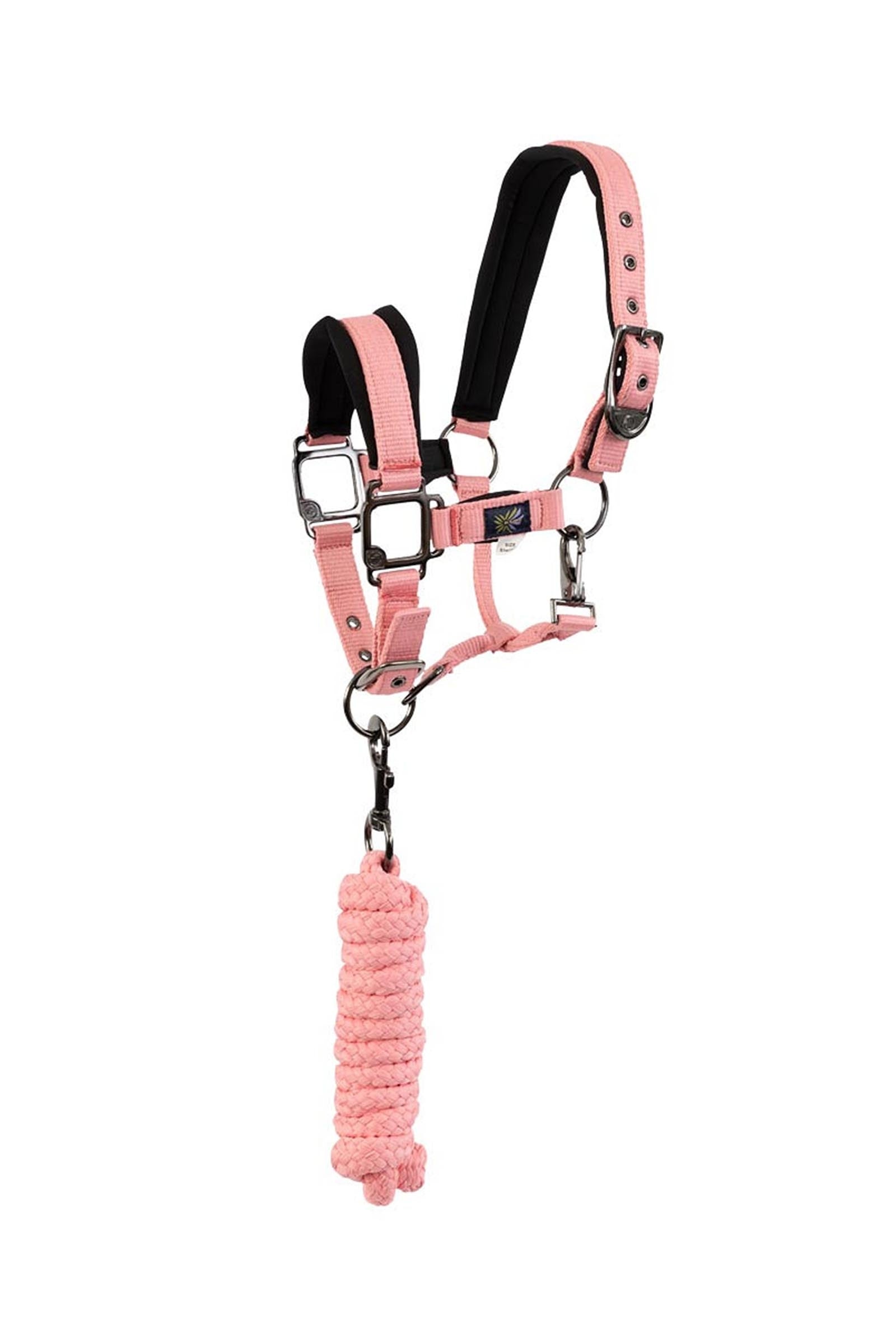 BR Pony / Mini Horse Halter With Lead Halters & Leads