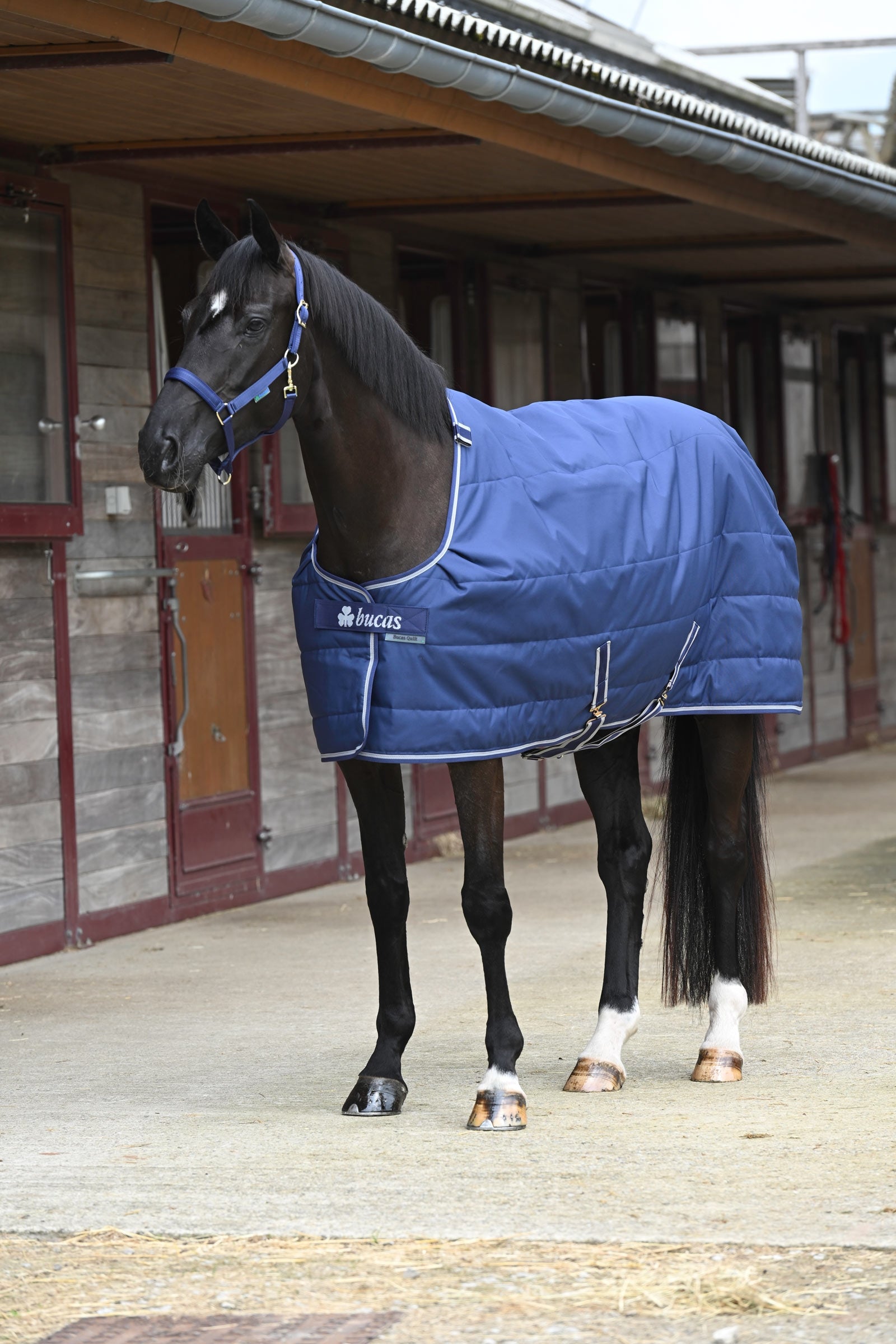Bucas Quilt Silk-feel, 150g Horse Rugs
