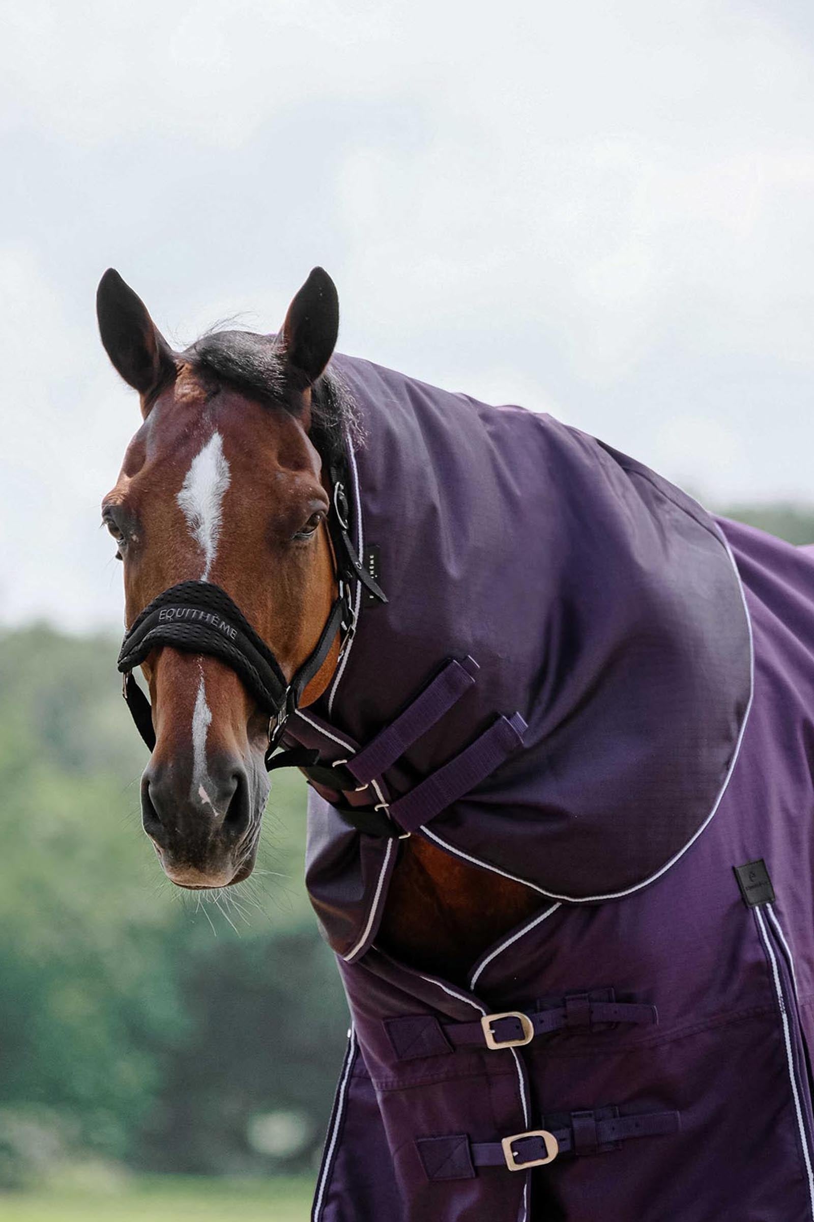 Equi Theme EQUITHÈME TYREX 600D Neck Cover Plume 0g Horse Rugs